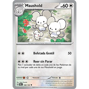 [168/193] [Maushold] [PAL]