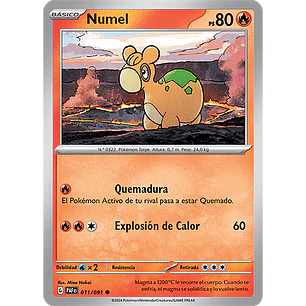 [011/091] [Numel] [PAF]