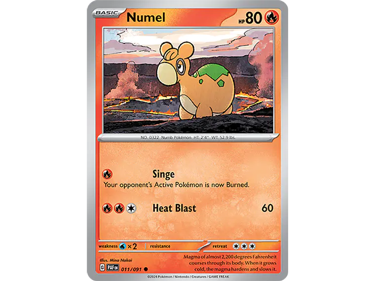 [011/091] [Numel] [PAF] 2