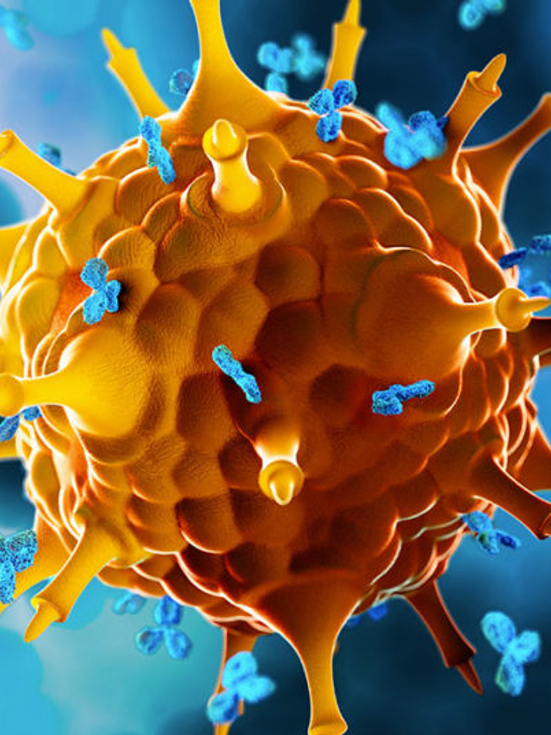 Sistema Inmunológico