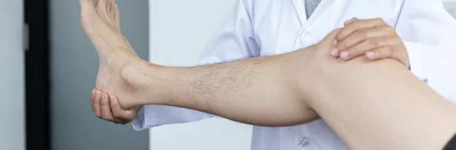 Sistema Osteoarticular