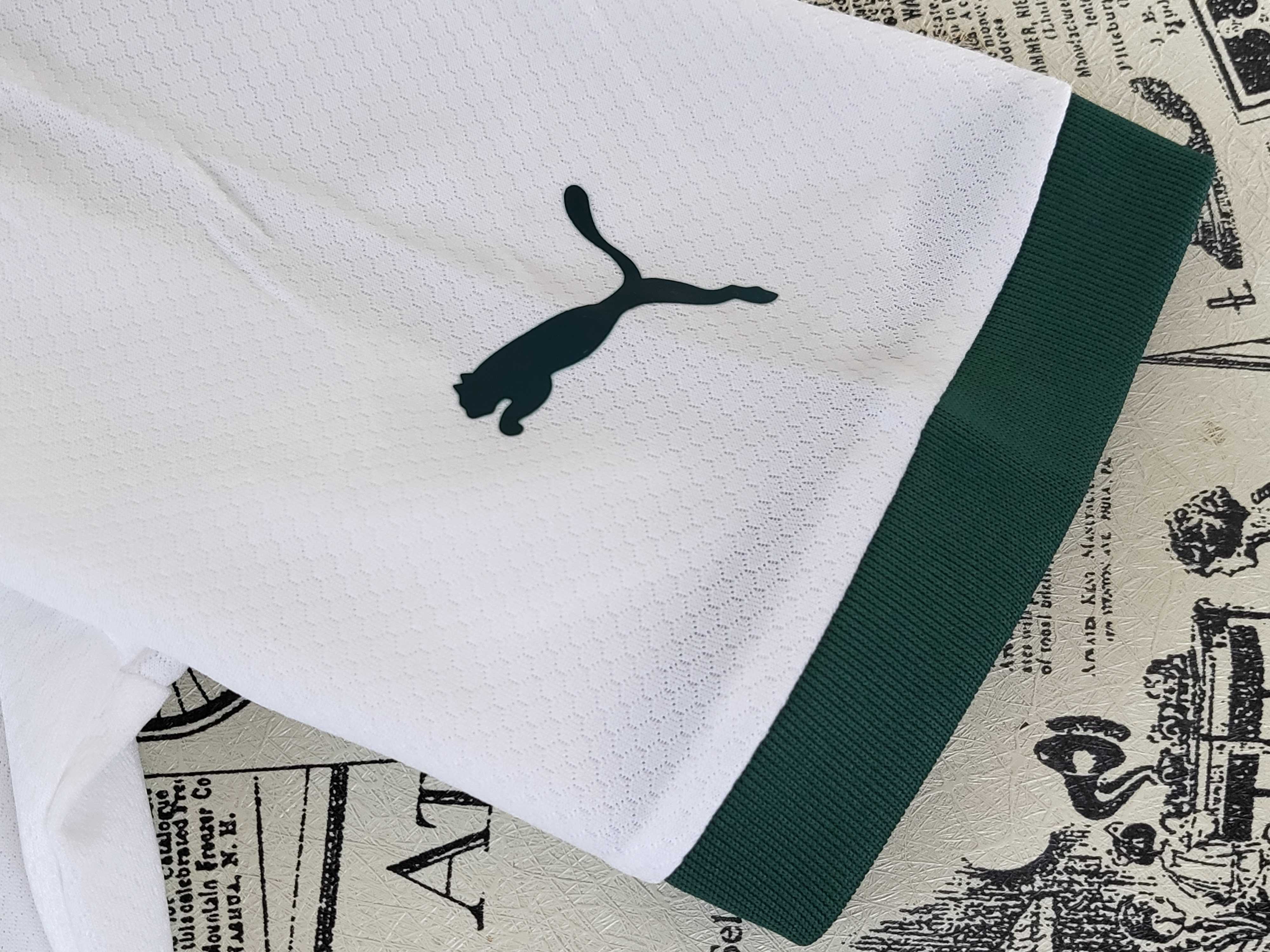 Camisola alternativa Palmeiras 23/24 - Versão adepto 10