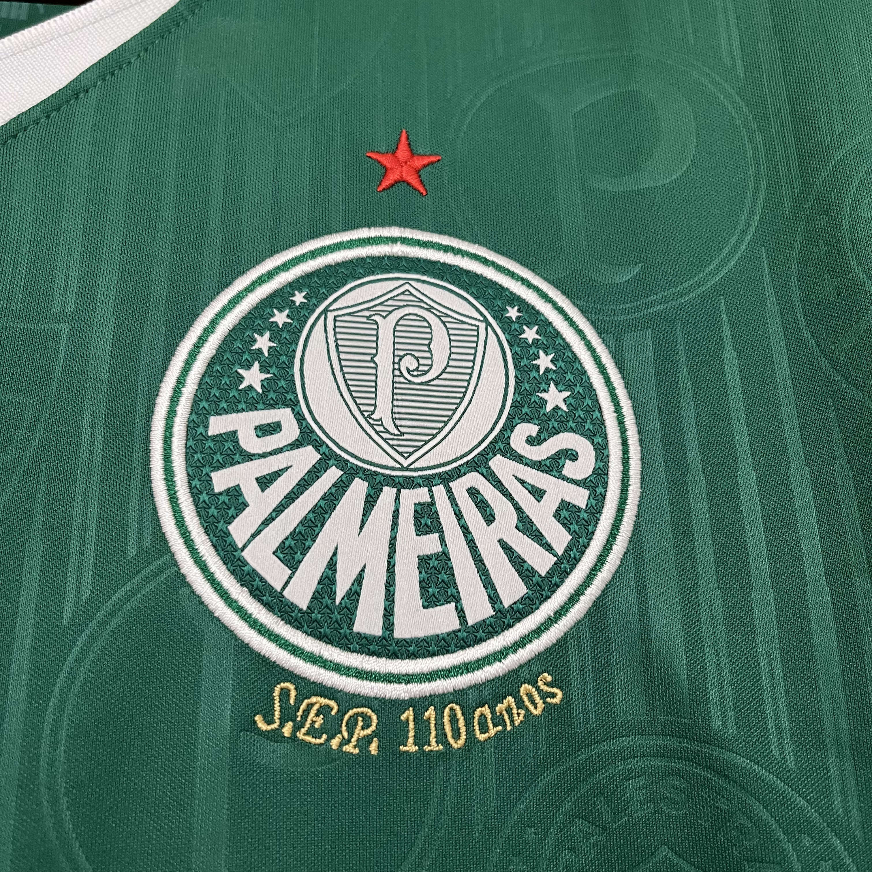 Camisola Principal Palmeiras 24/25 - Versão adepto 4