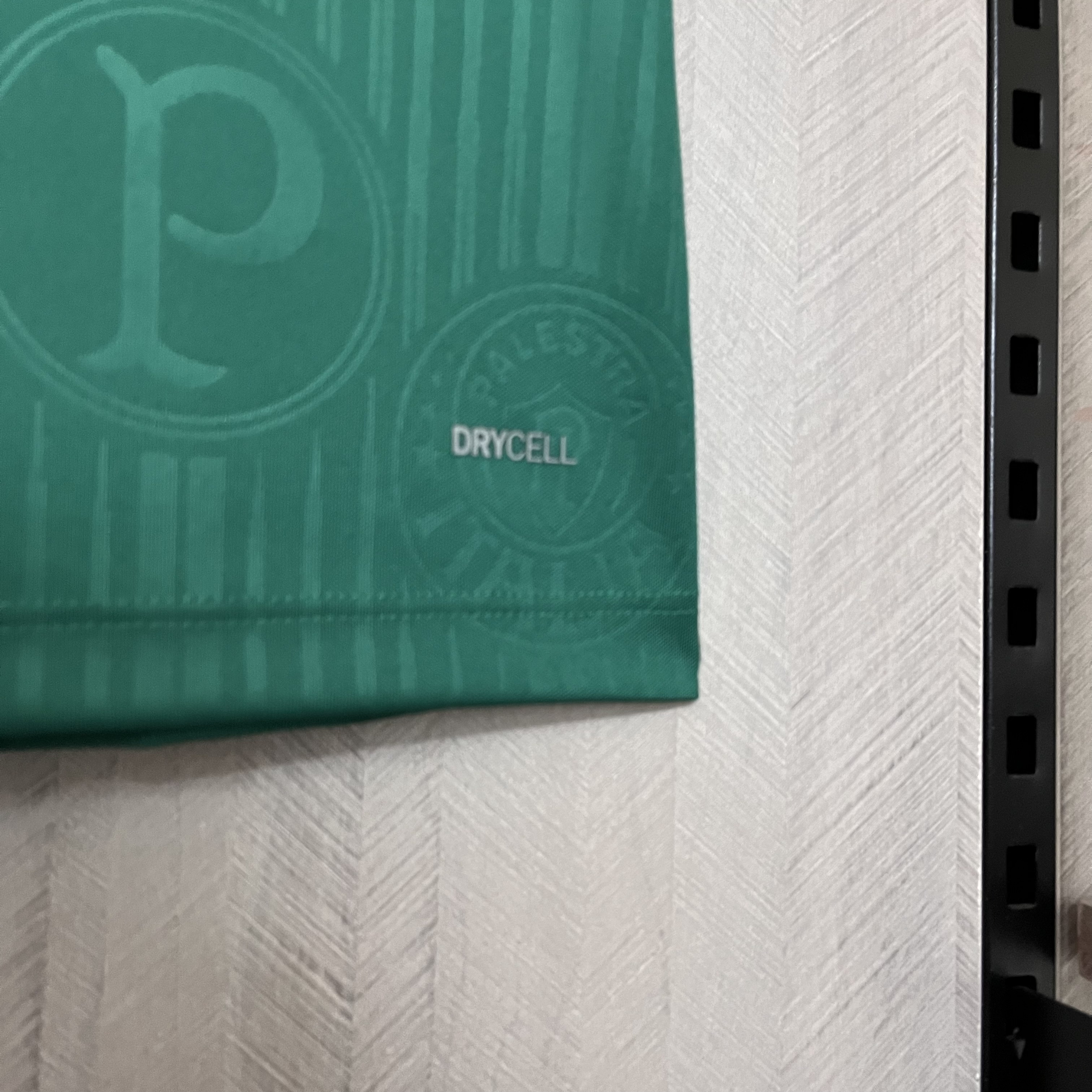 Camisola principal Palmeiras 24/25 versão feminina 9