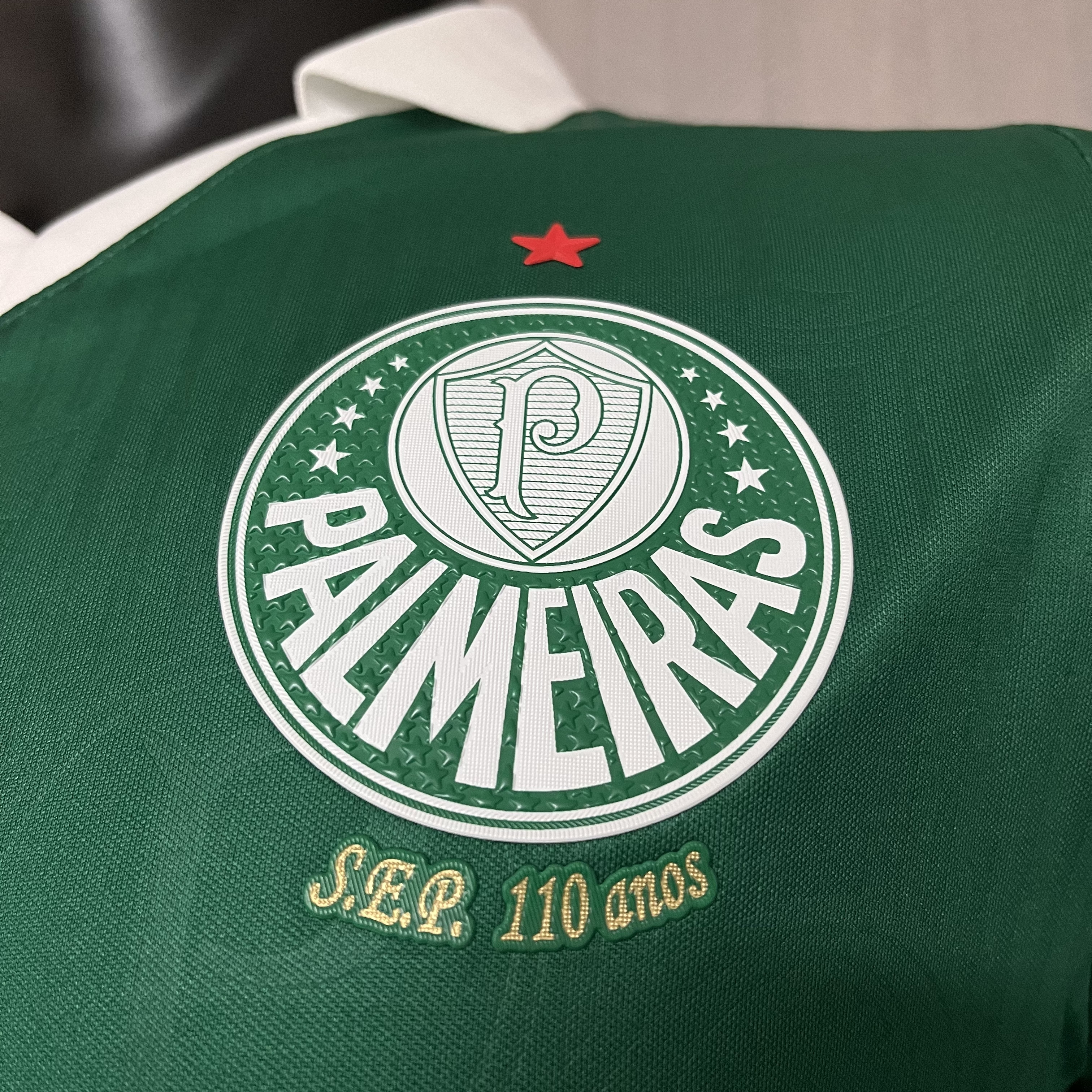 Camisola principal Palmeiras 24/25 - Versão jogador  3