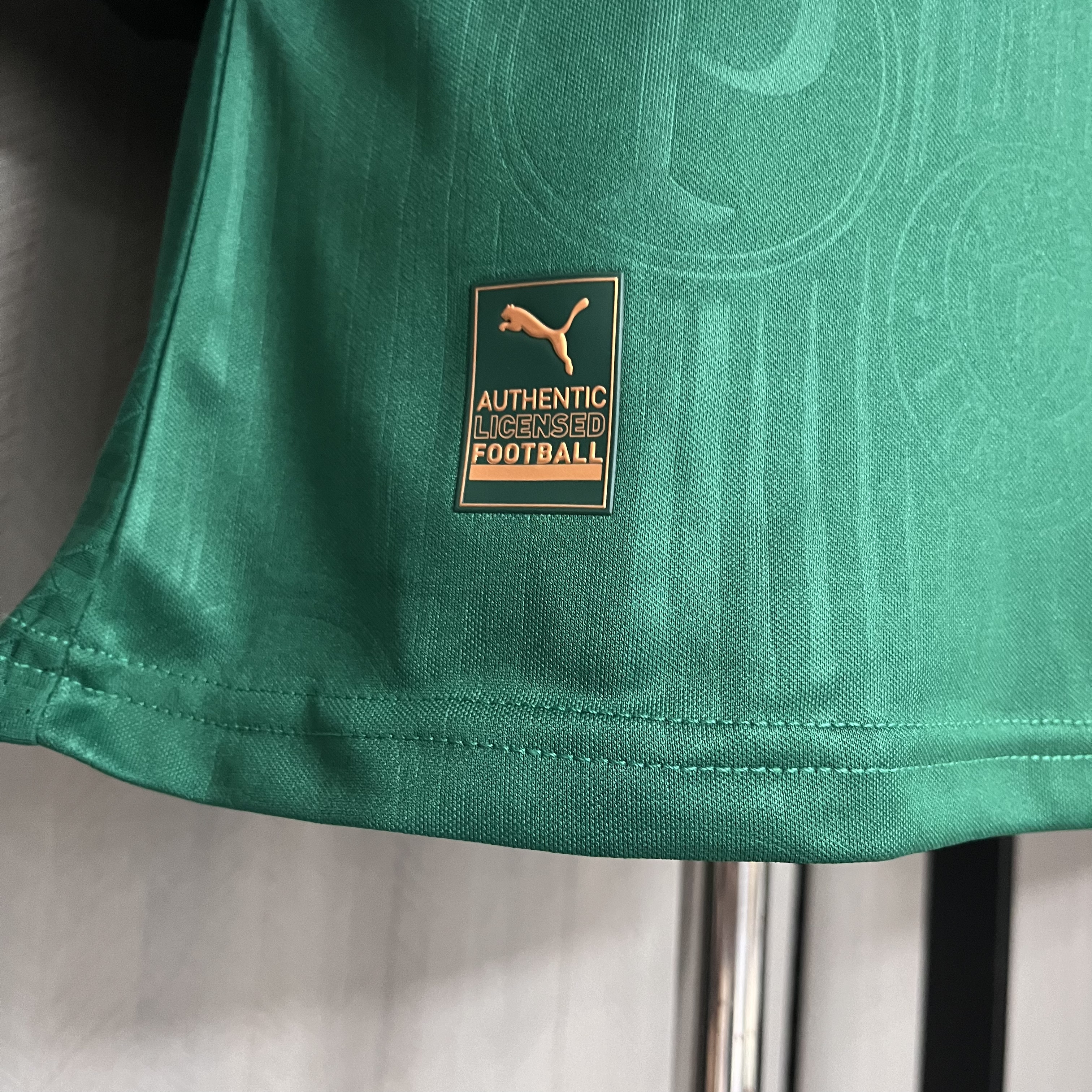 Camisola principal Palmeiras 24/25 - Versão jogador  14