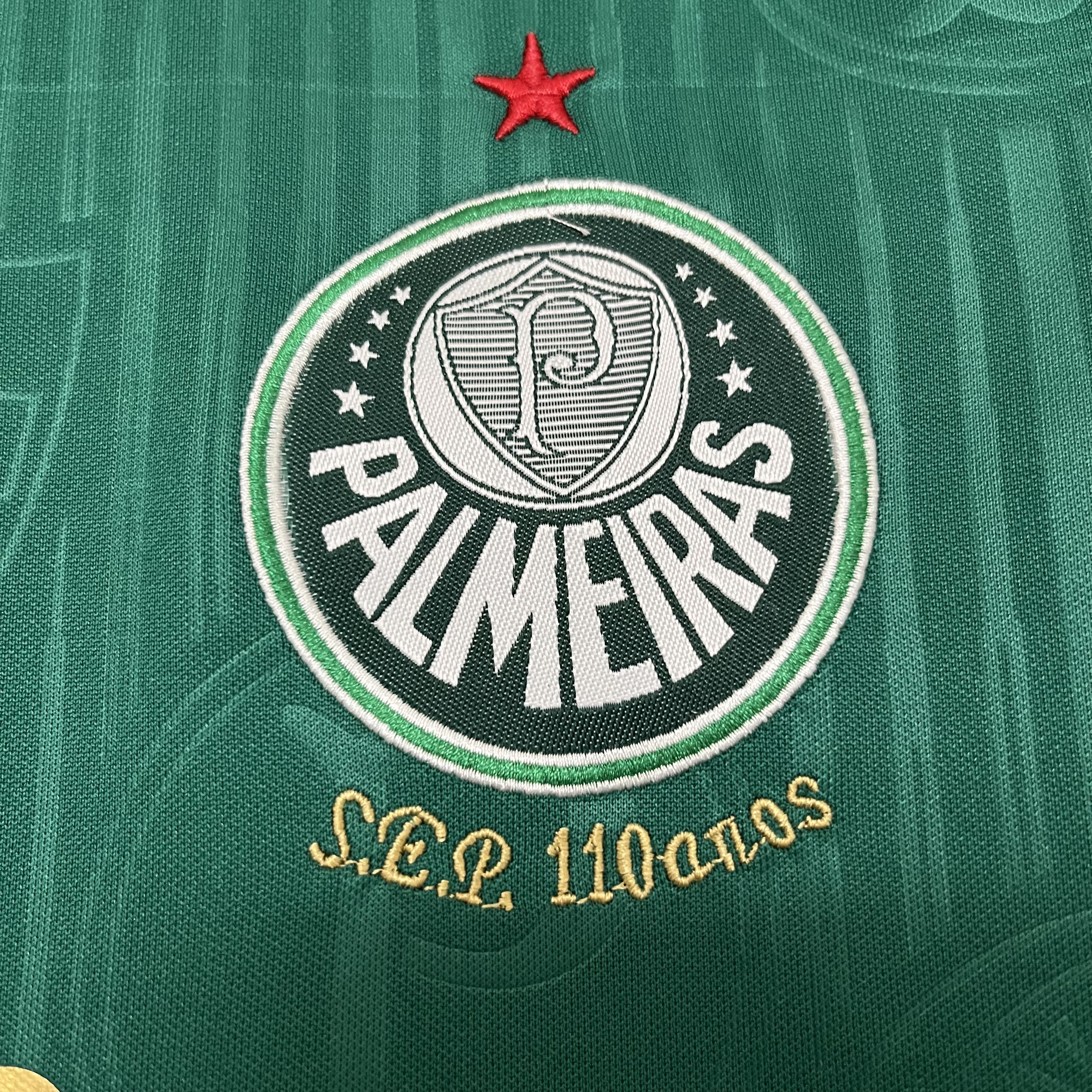 Kit Criança Palmeiras Principal 24/25 4