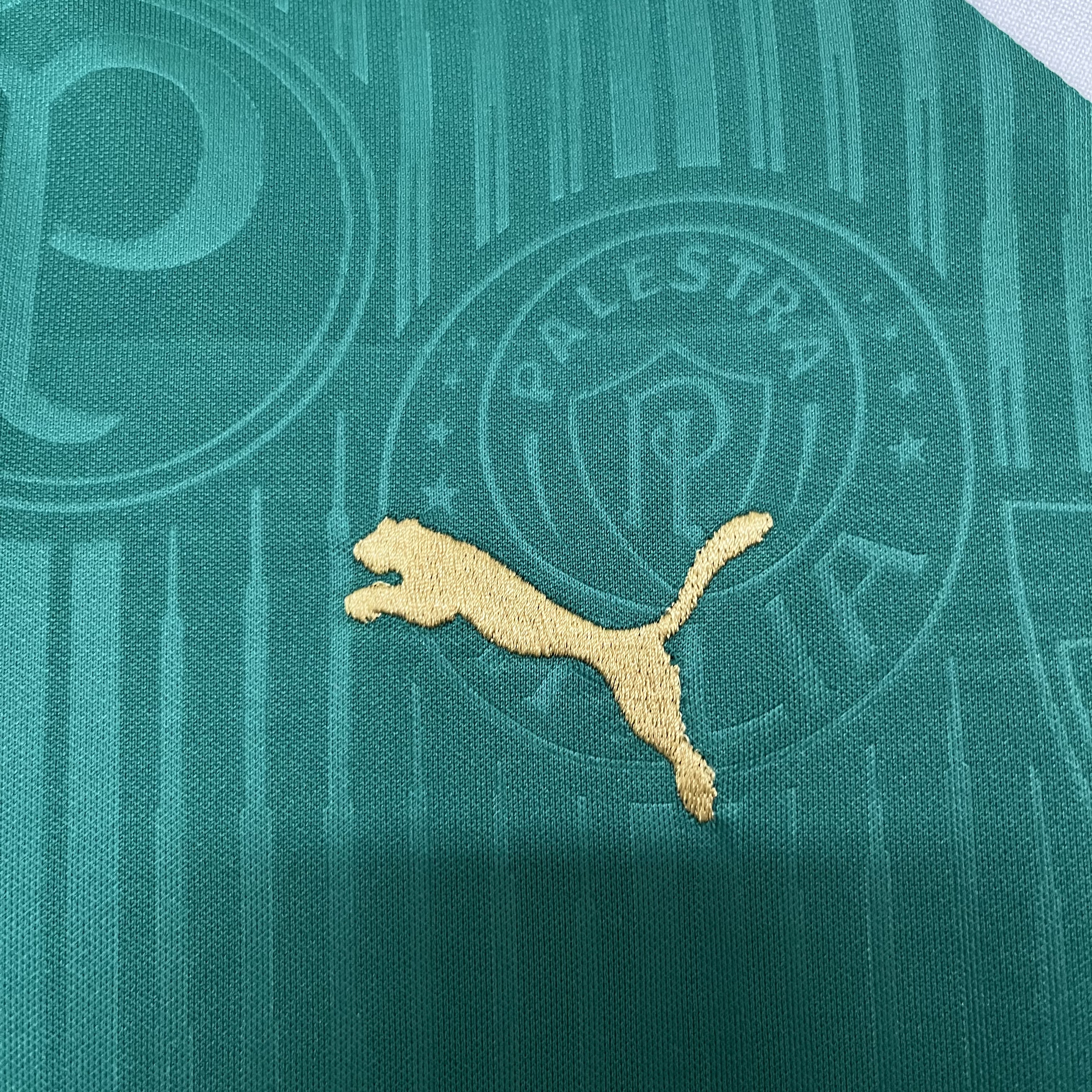 Kit Criança Palmeiras Principal 24/25 5