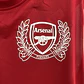 Camisola principal Arsenal 2011/2012 - Versão adepto - Thumbnail 4