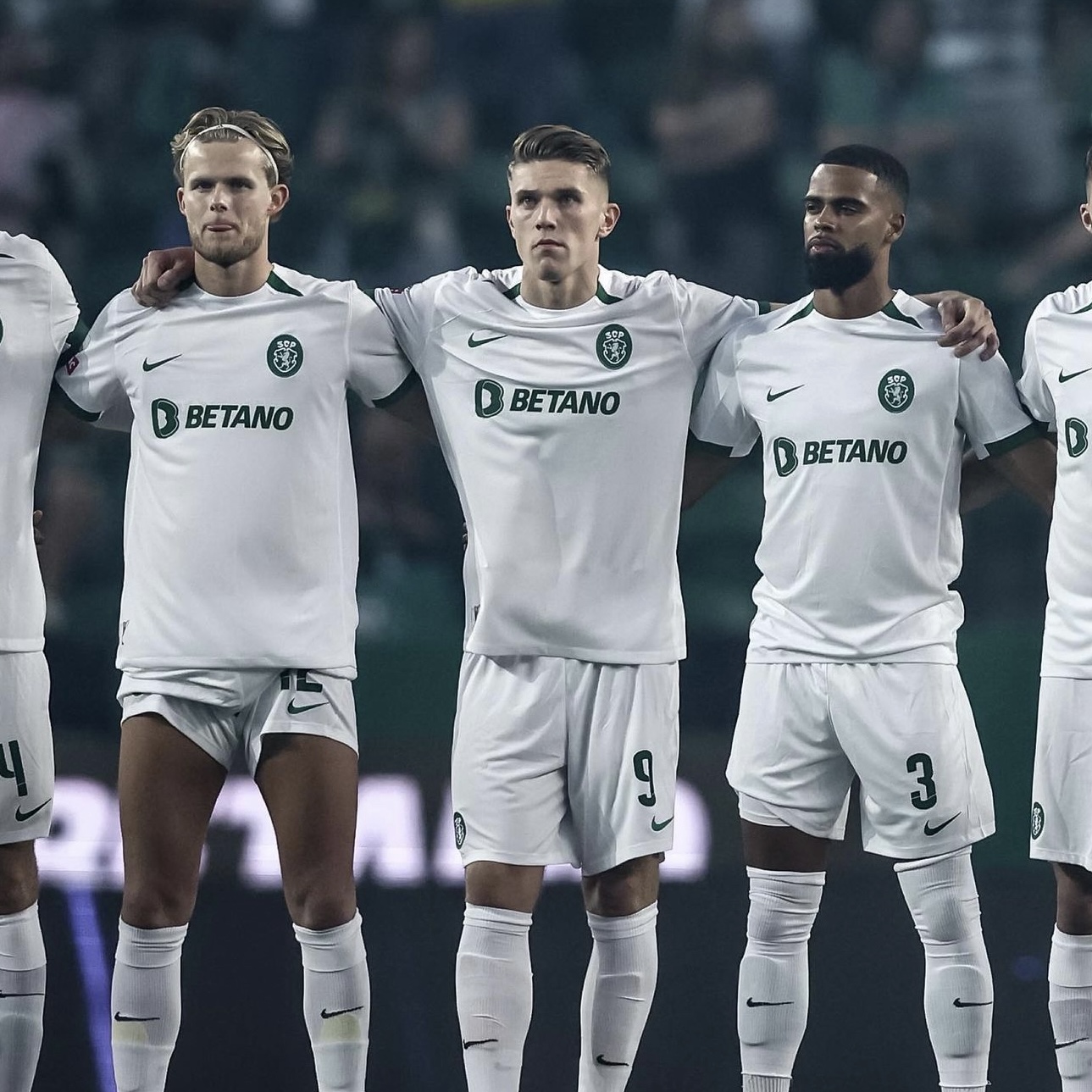 Camisola Sporting CP Taça das Taças - Versão adepto 2