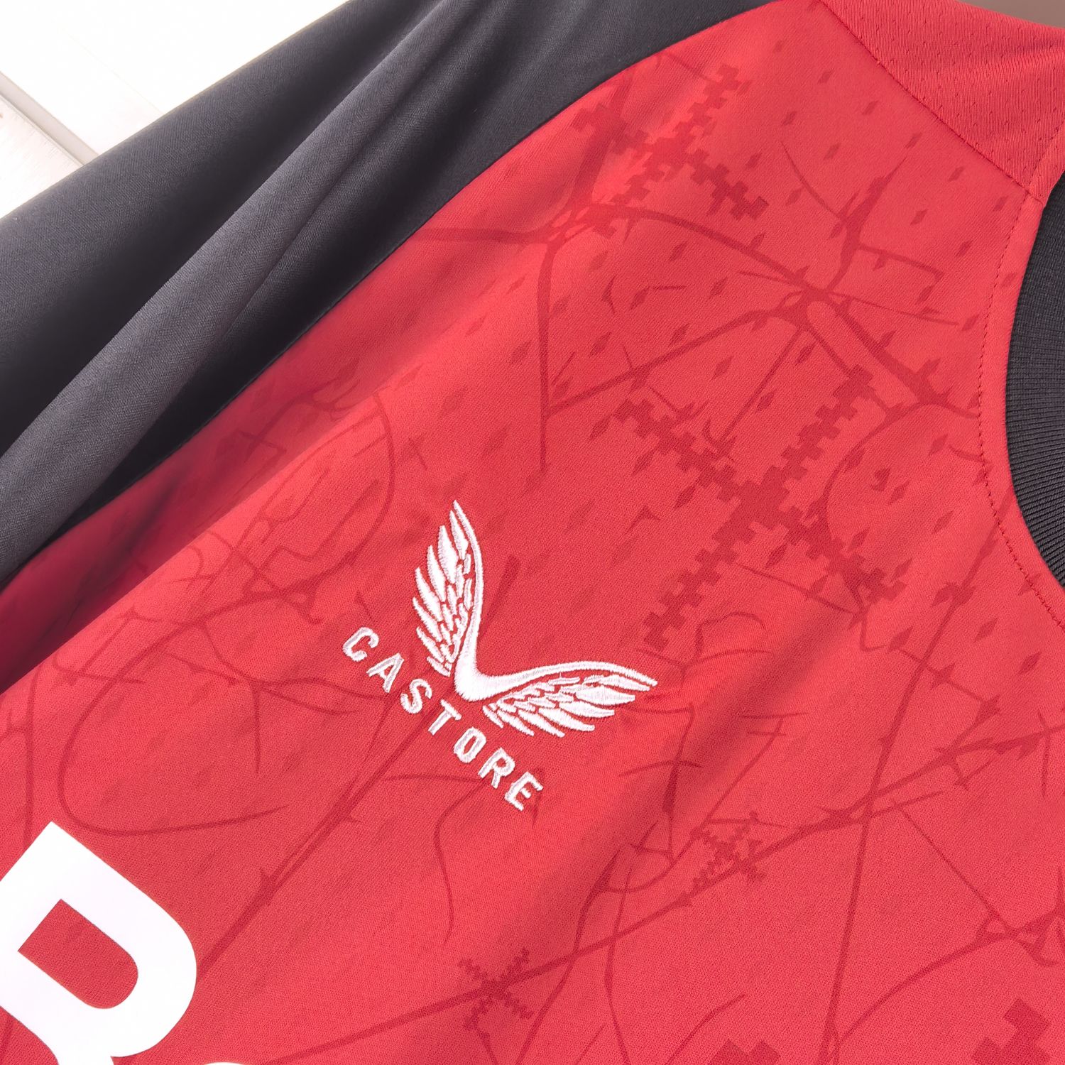 Camisola Principal Bayer Leverkusen 24/25 - Versão adepto 5