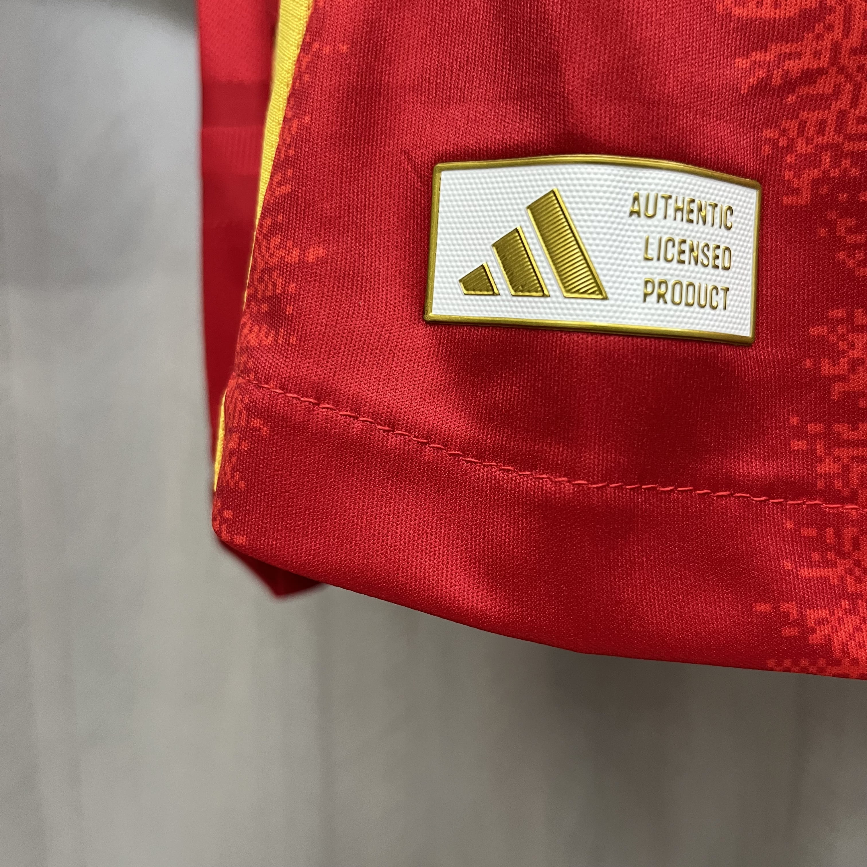 Camisola Principal Espanha Euro 2024 - Versão jogador 11