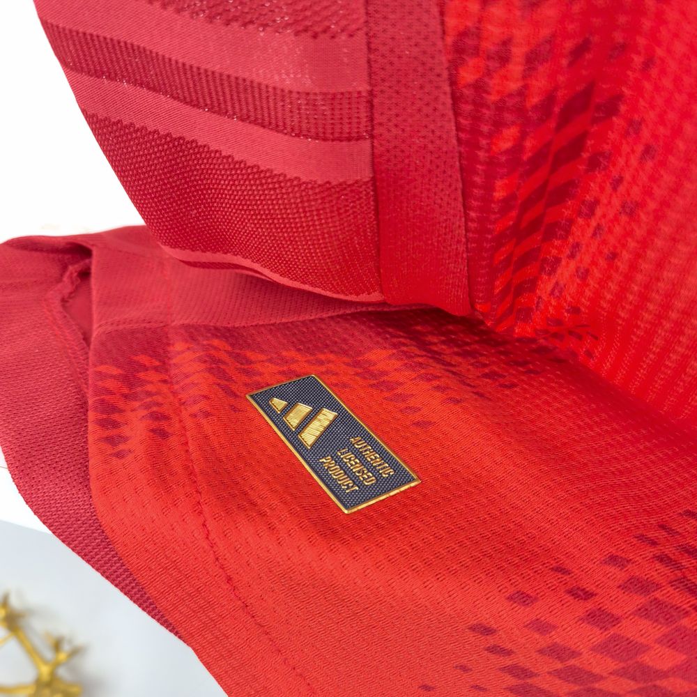 Camisola Principal Bayern Munique 24/25 - Versão jogador 9