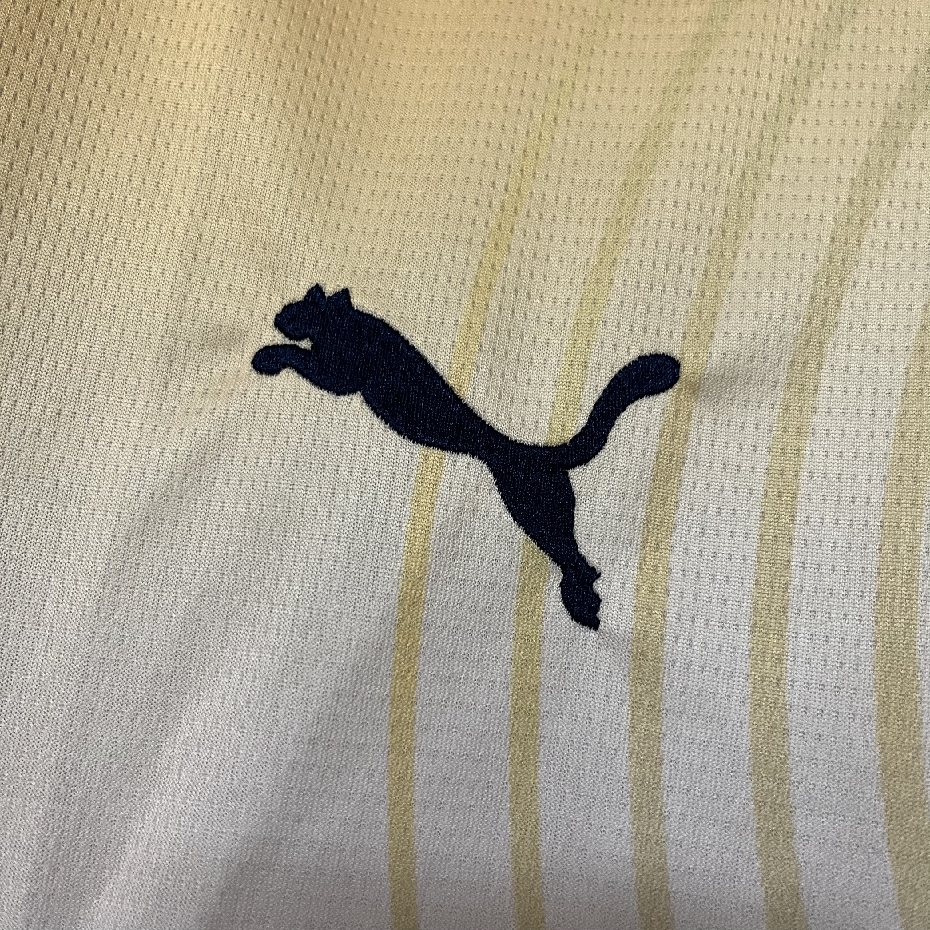 4ª Camisola Man City 24/25 - Versão Adepto 4