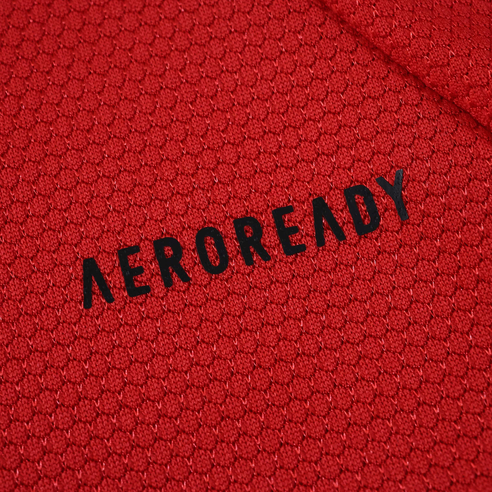 Camisola principal SL Benfica 25/26 - Versão adepto 20