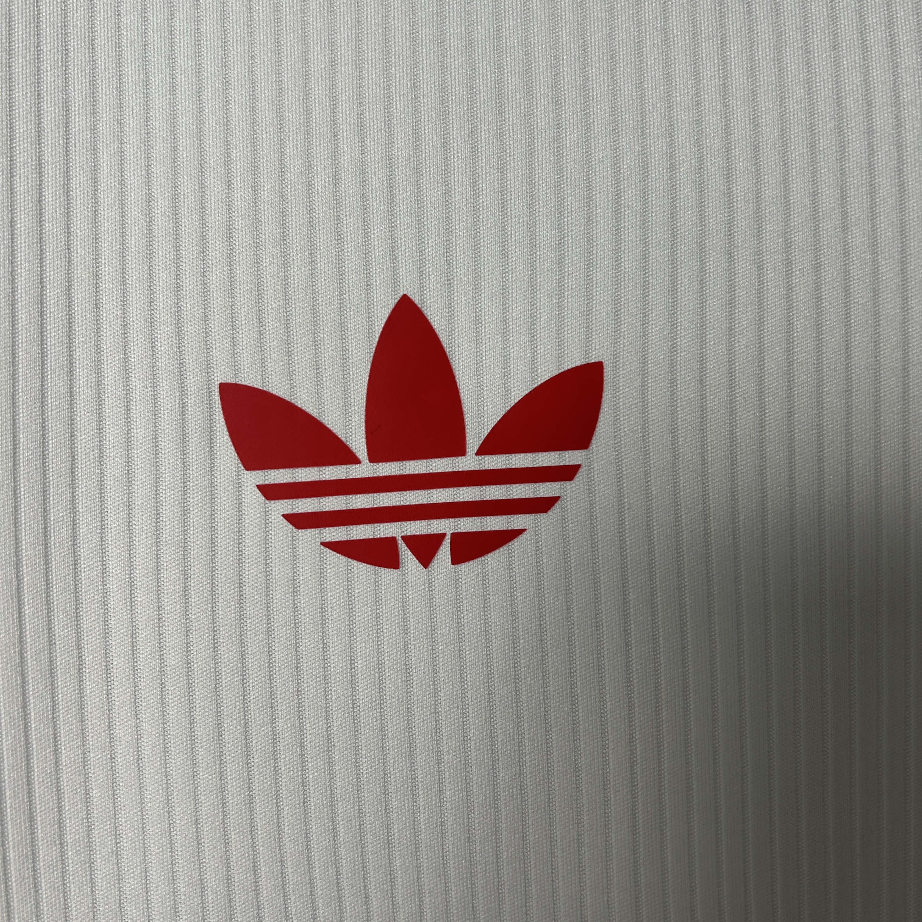 Camisola SL Benfica 24/25 - Edição especial - Versão adepto 4