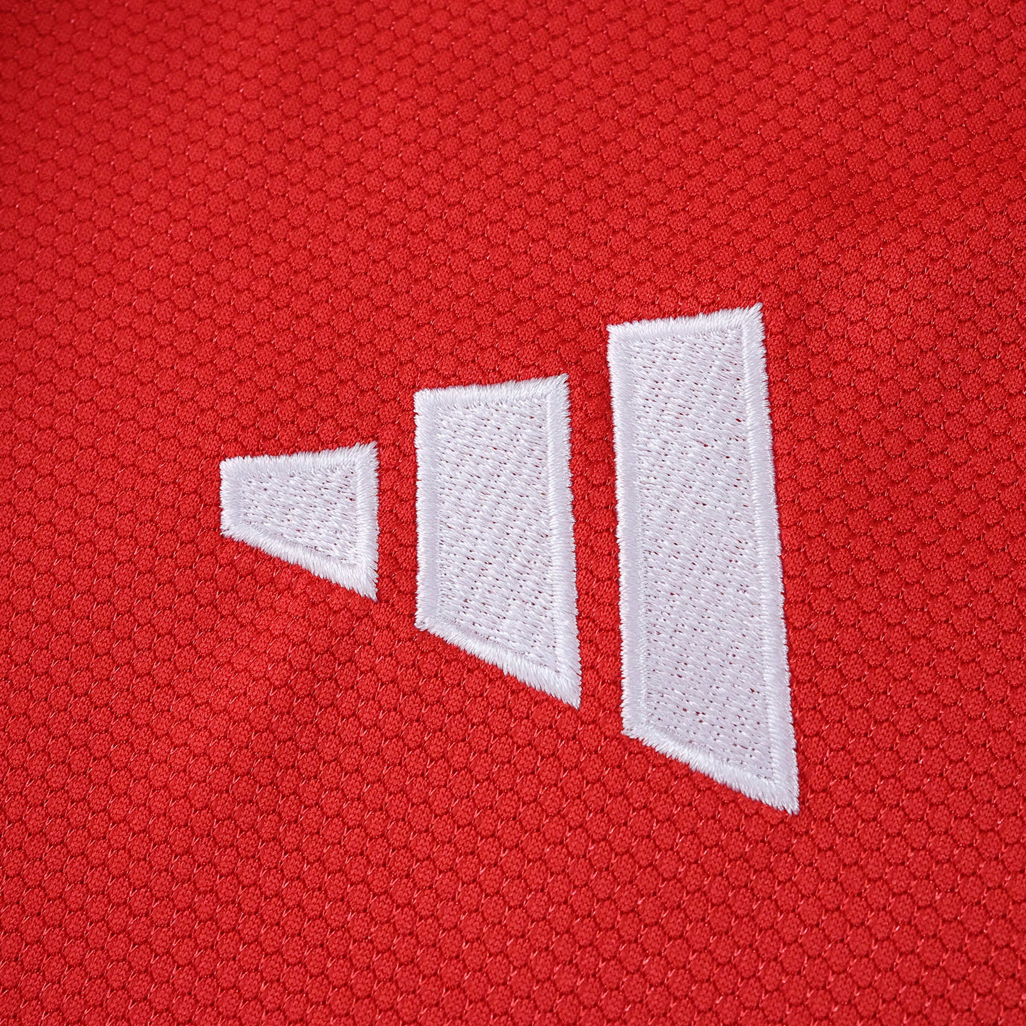 Camisola principal SL Benfica 25/26 - Manga comprida - Versão adepto 4