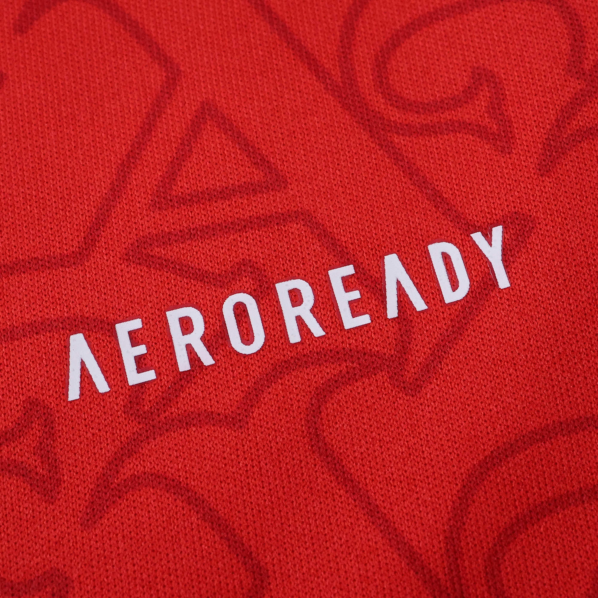 Camisola Principal Arsenal 25/26 - Manga comprida- Versão Adepto 15