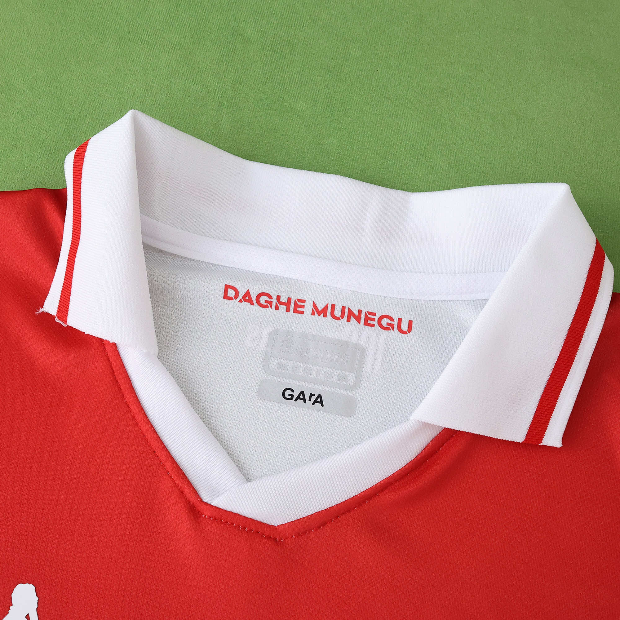 Camisola Principal Mónaco 25/26 - Versão Adepto 5