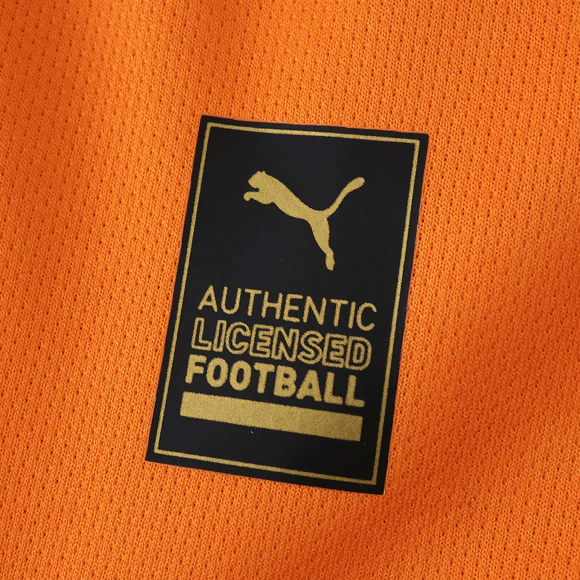 Camisola principal Galatasaray 25/26 - Versão adepto 14