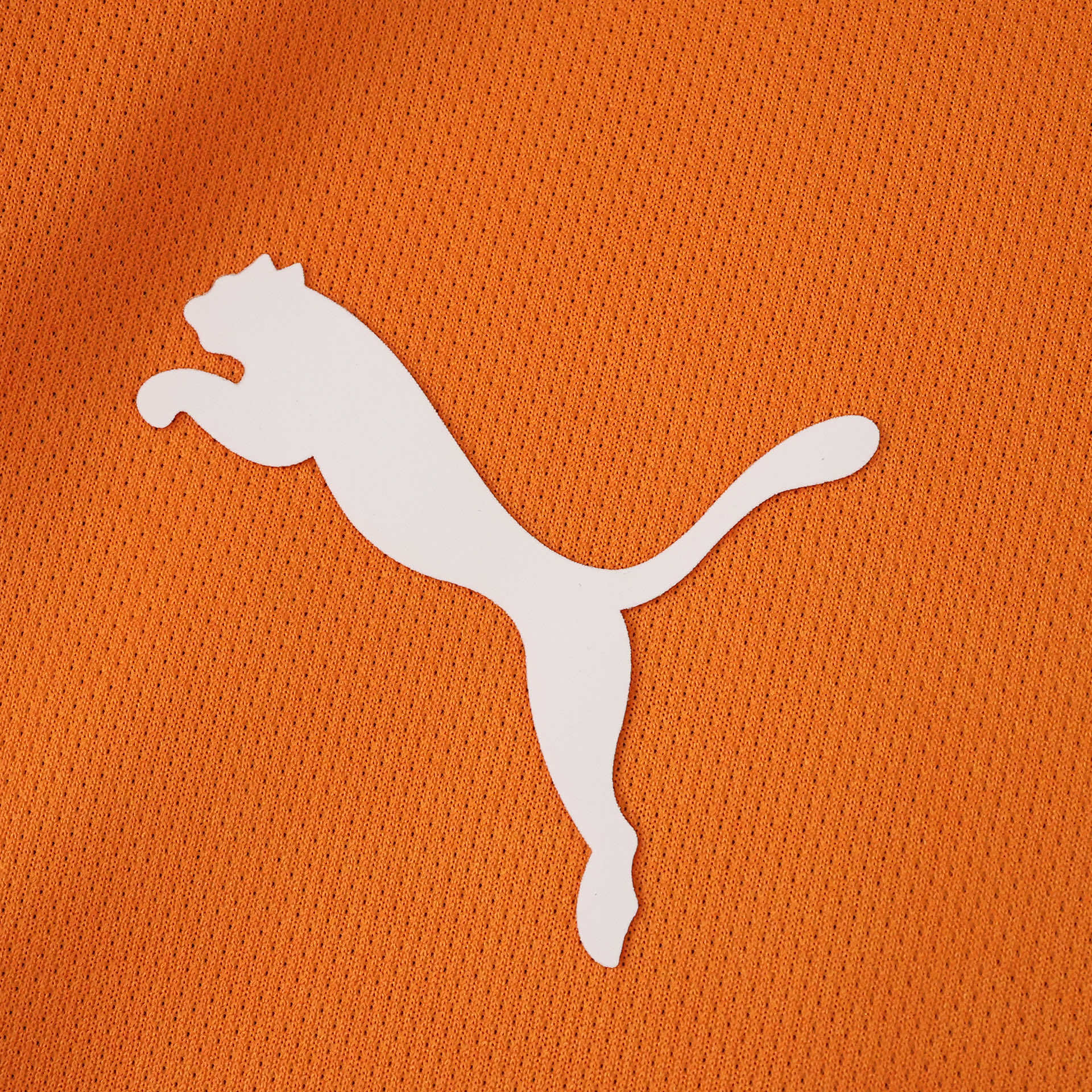 Camisola principal Galatasaray 25/26 - Versão adepto 5