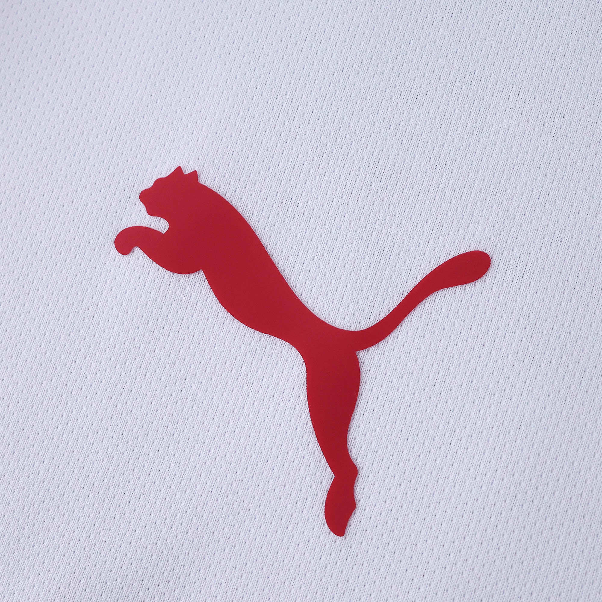 Camisola alternativa Galatasaray 25/26 - Versão adepto 4