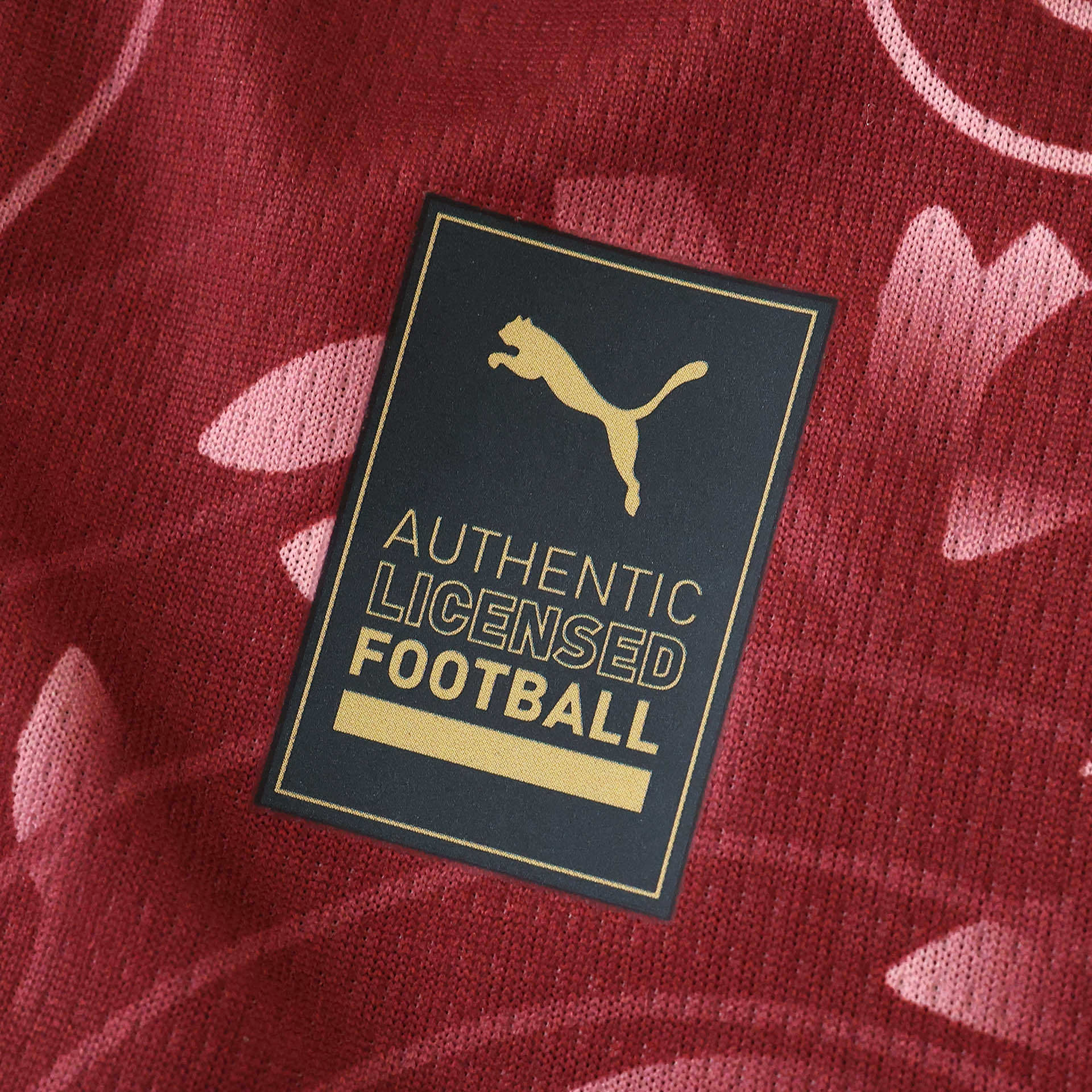 3ª Camisola Galatasaray 25/26 - Versão adepto 13