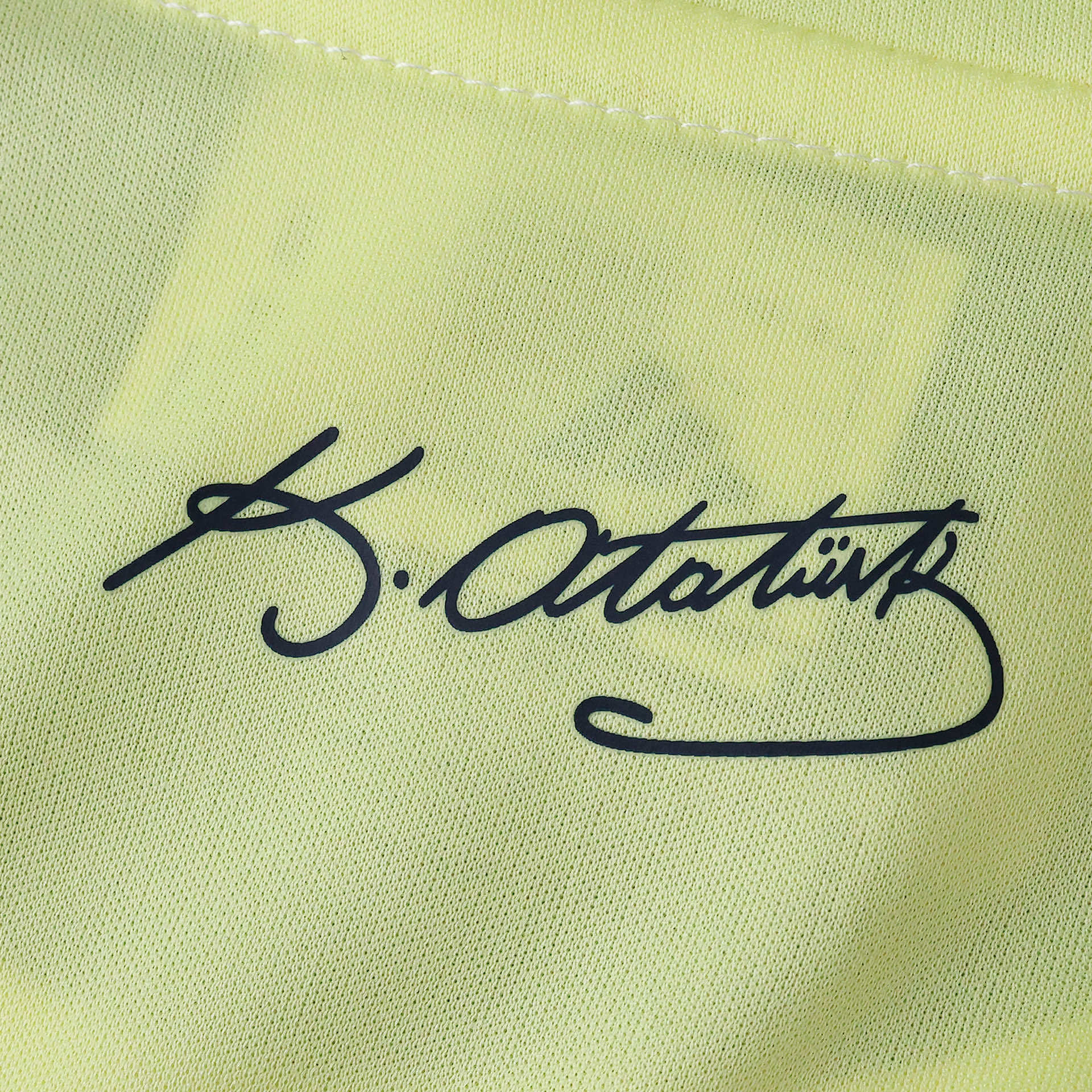 Camisola alternativa Fenerbahce 25/26 - Versão adepto 14