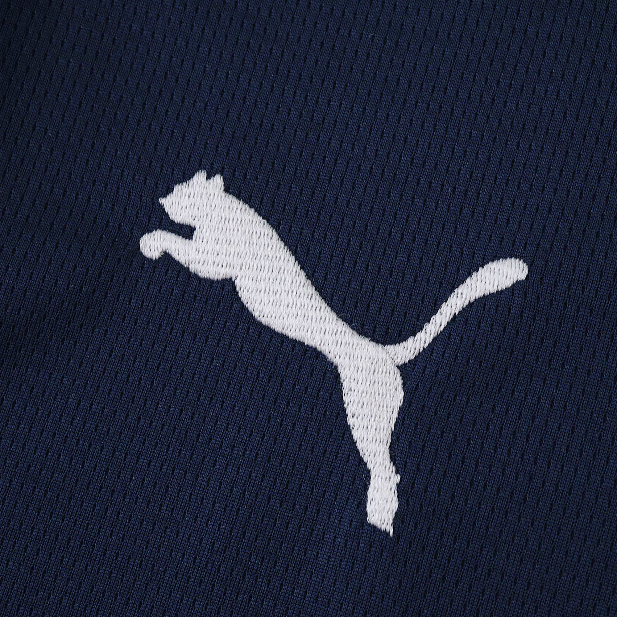 Camisola alternativa PSV 25/26 - Versão adepto 4