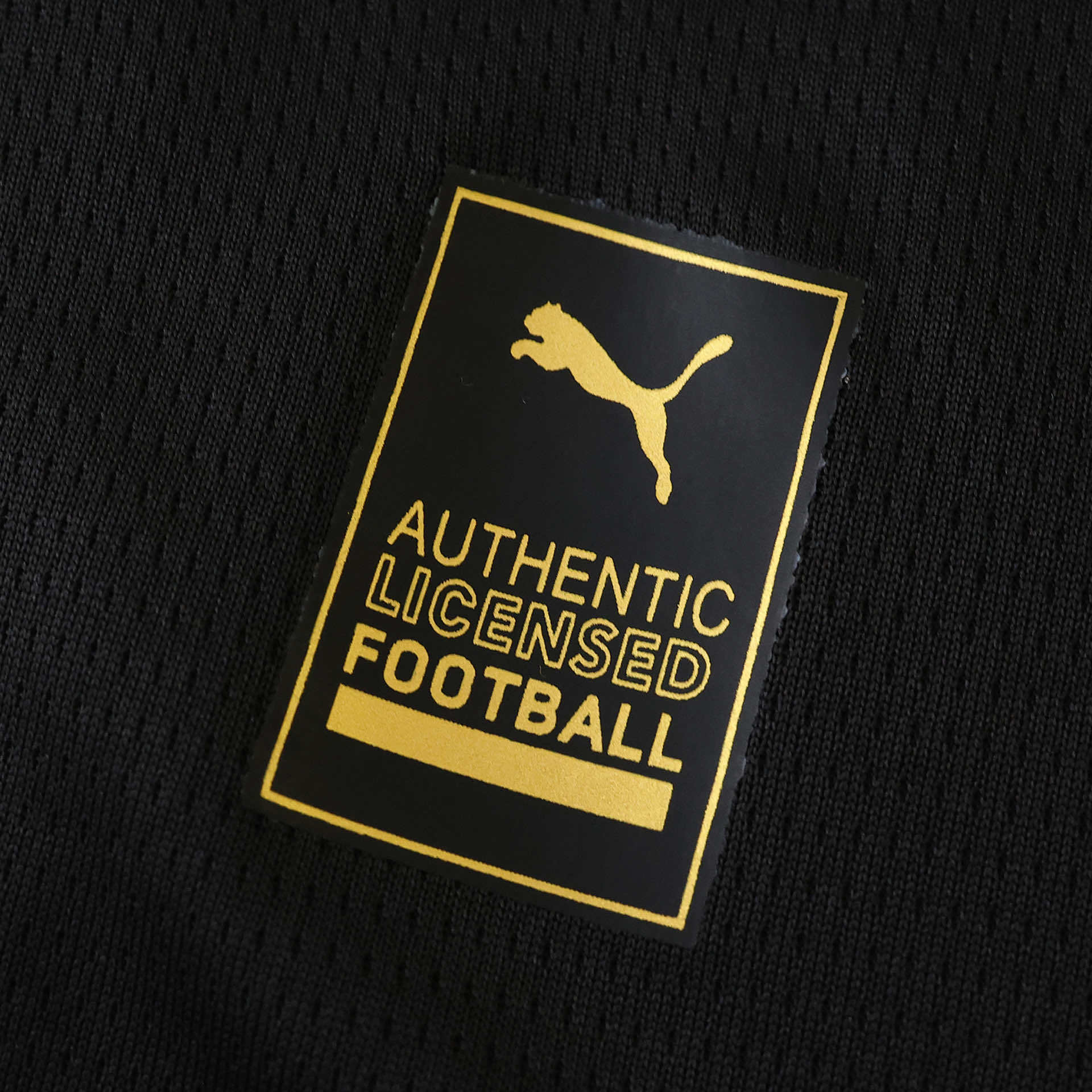 Camisola alternativa Manchester City 25/26 - Versão Adepto 14