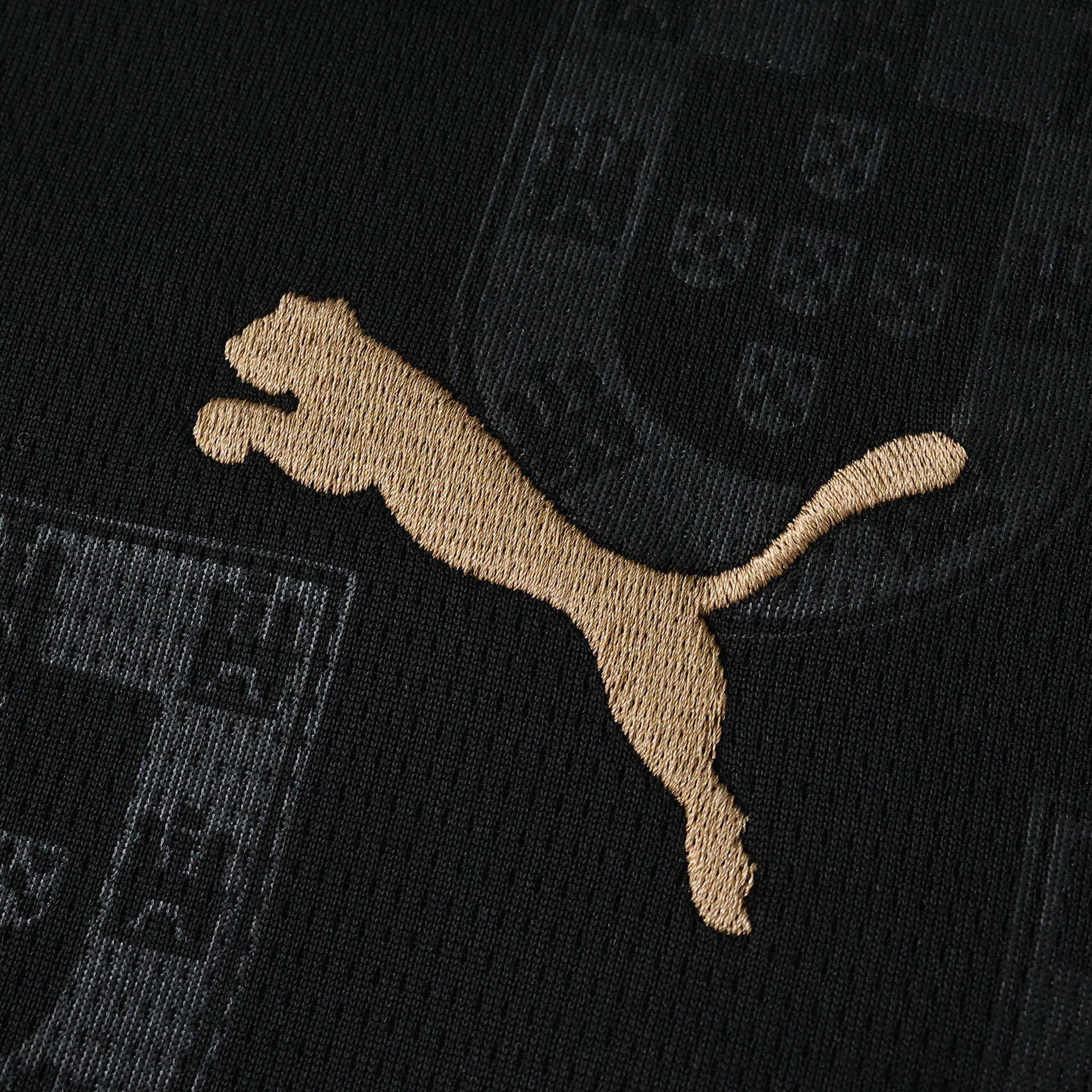 Camisola Portugal 2025 - Edição especial Eusébio - Versão adepto 4