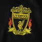 3ª Camisola Liverpool 2010/2011 - Versão adepto - Thumbnail 3