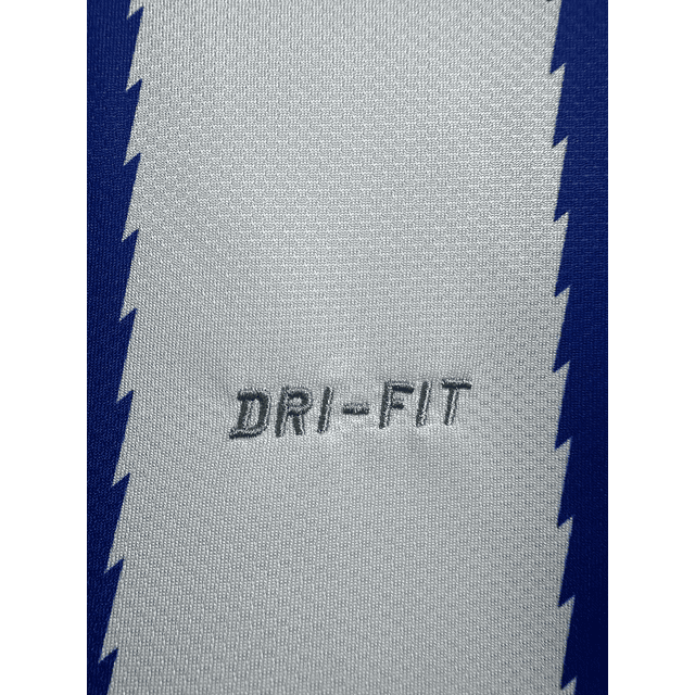 Camisola Principal FC Porto 2010/2011 - Versão adepto