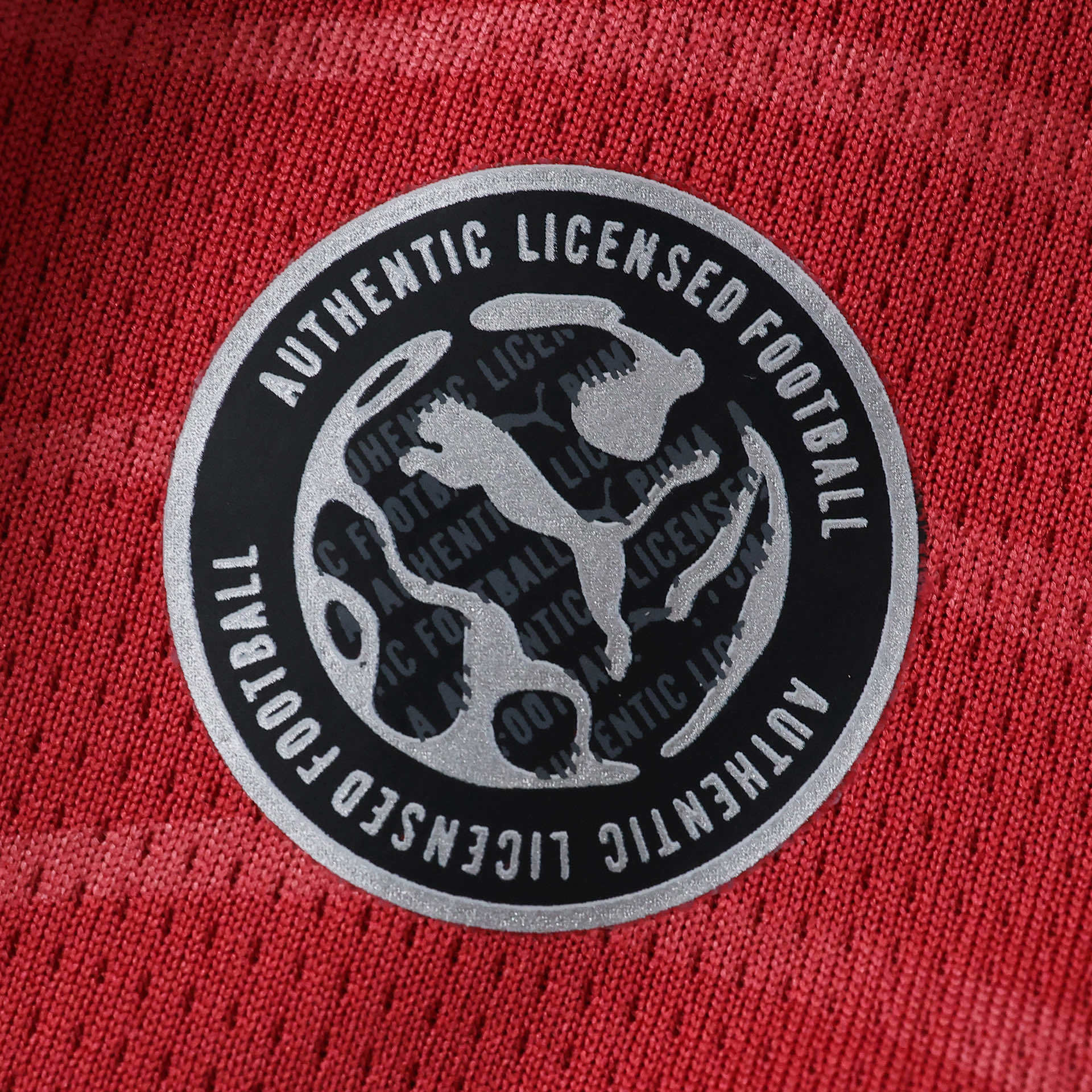 Camisola Principal Portugal Mundial 2026 Manga comprida - Versão adepto 10