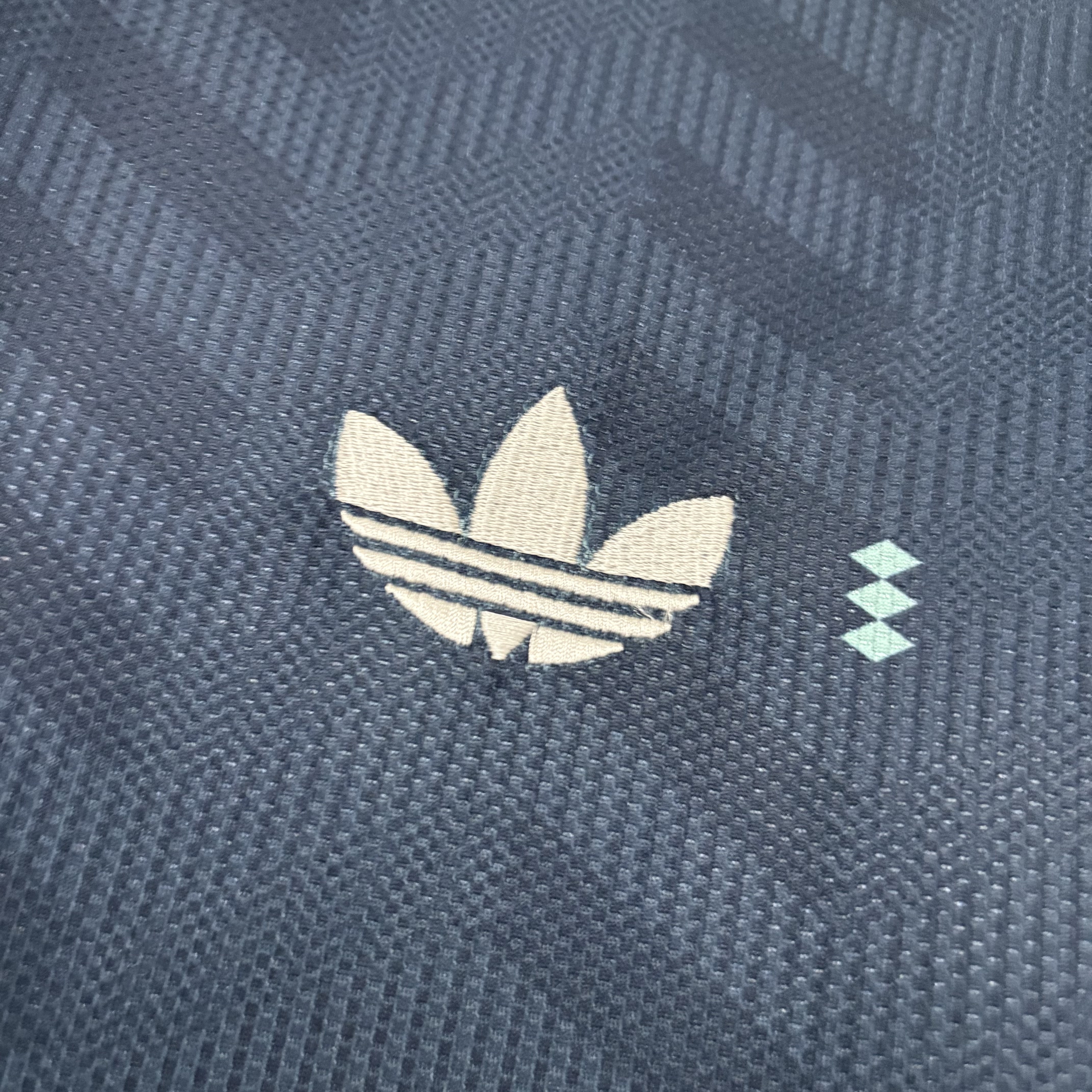 Camisola alternativa Alemanha Mundial 2026 Manga comprida - Versão adepto 4