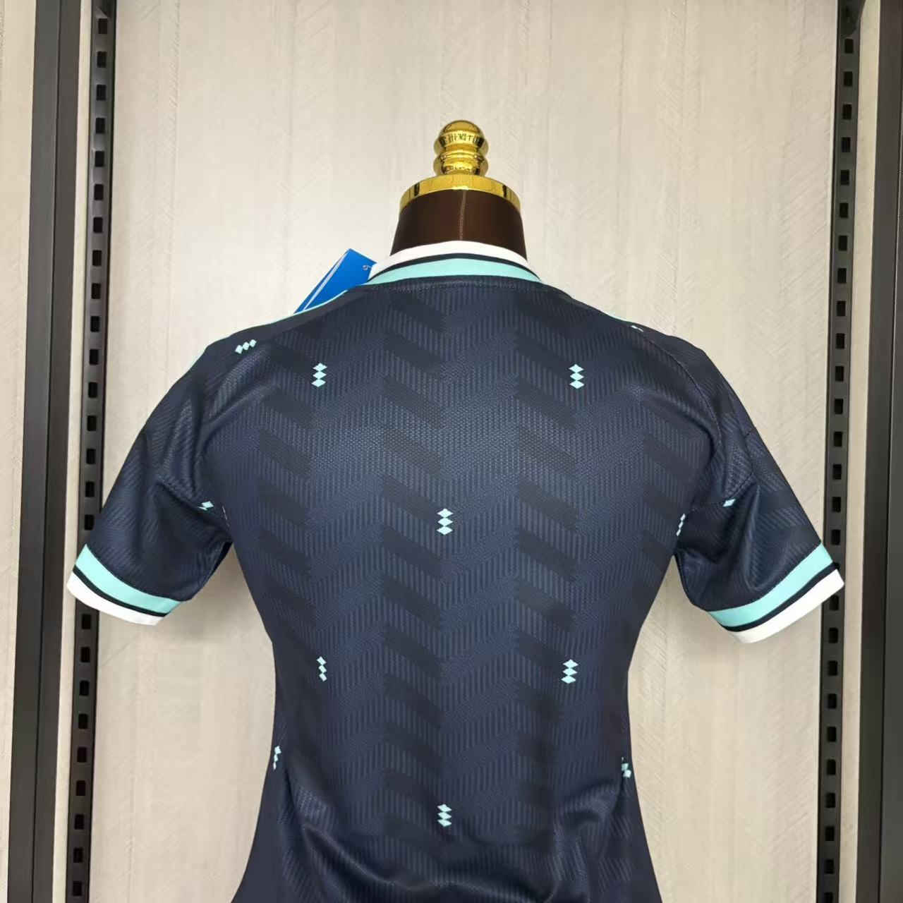 Camisola alternativa Alemanha Mundial 2026 - Versão feminina 8