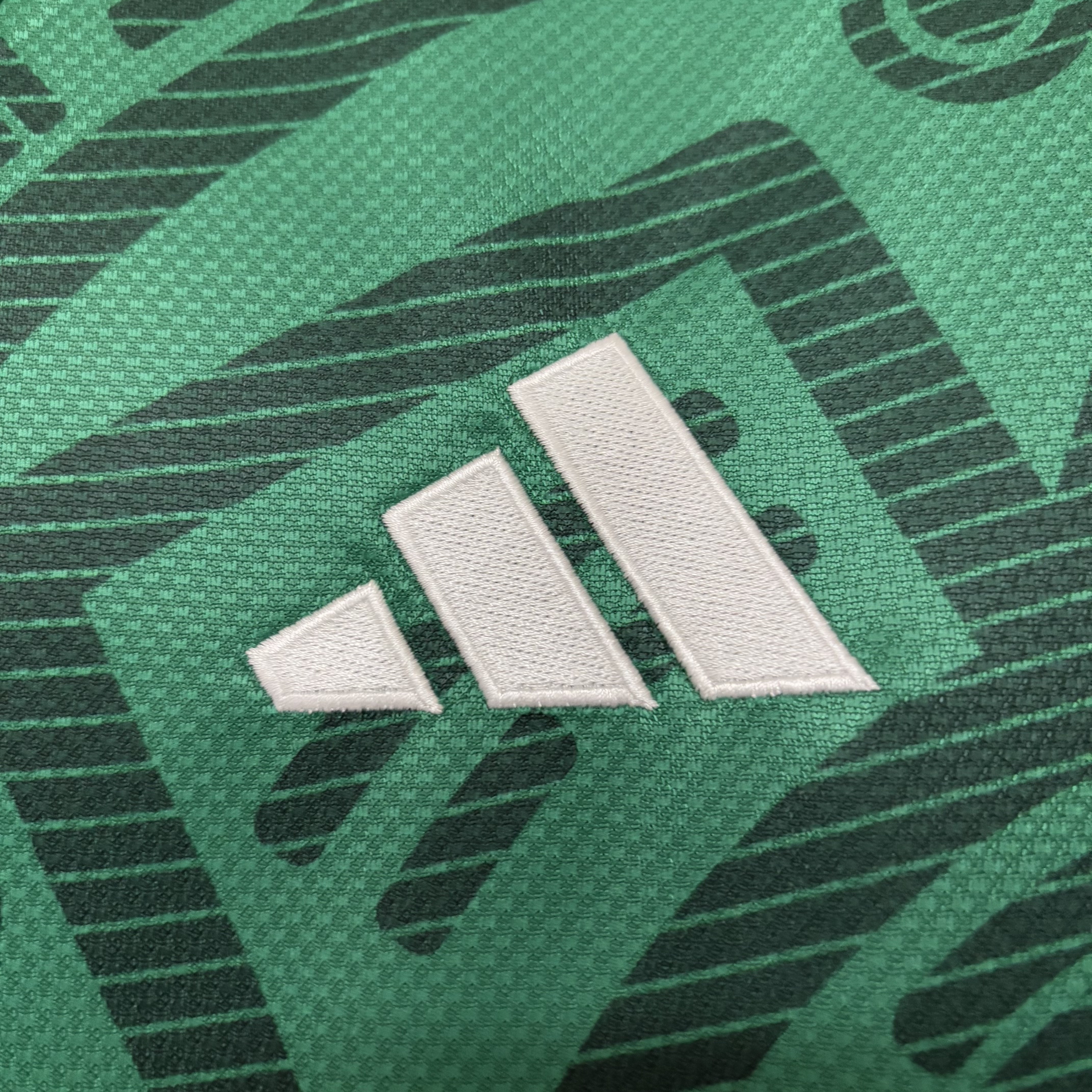 Camisola Principal México Mundial 2026 Manga comprida - Versão adepto 4