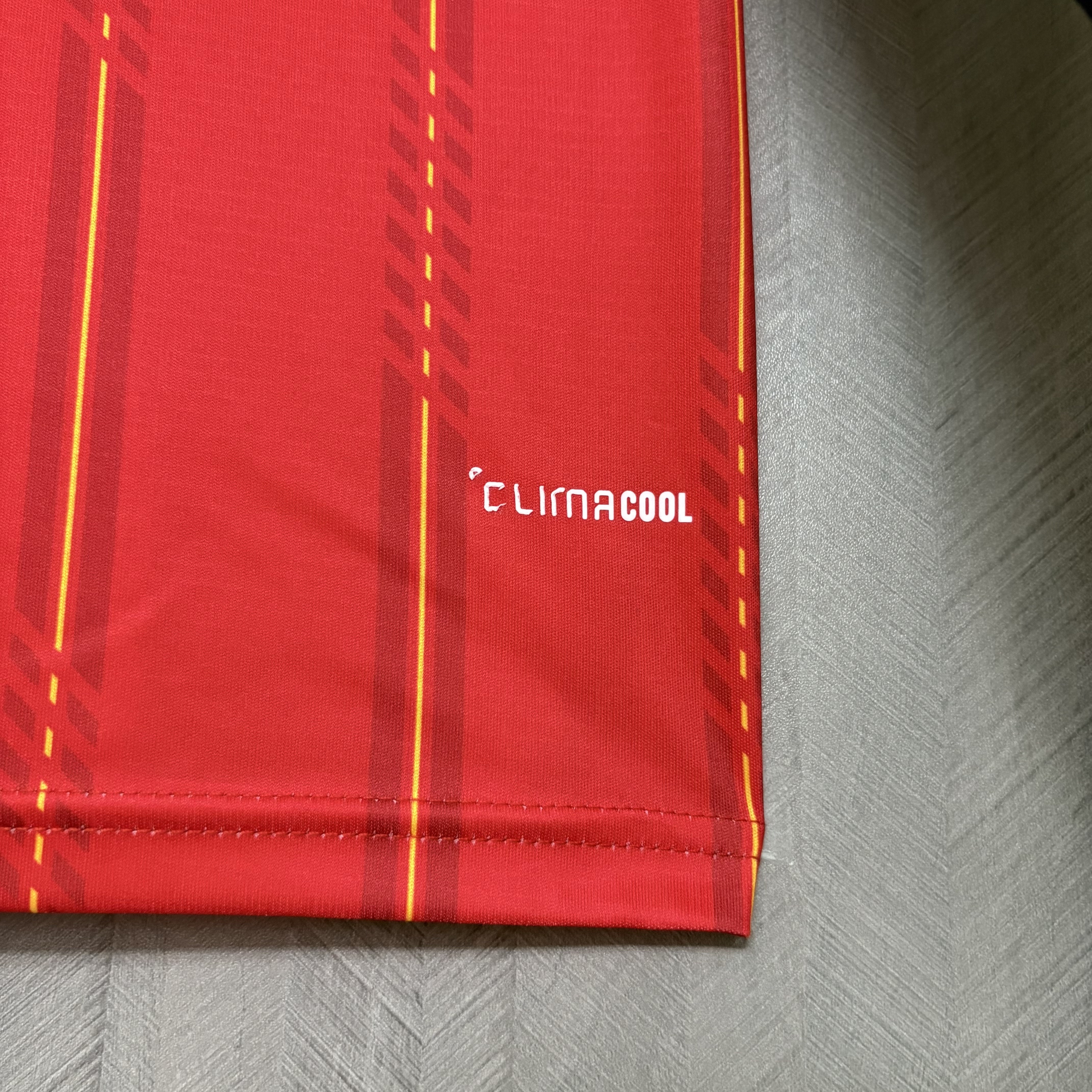 Camisola principal Espanha Mundial 2026 Manga comprida - Versão adepto 8