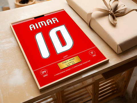 Poster Aimar SL Benfica - Stats & Trophies