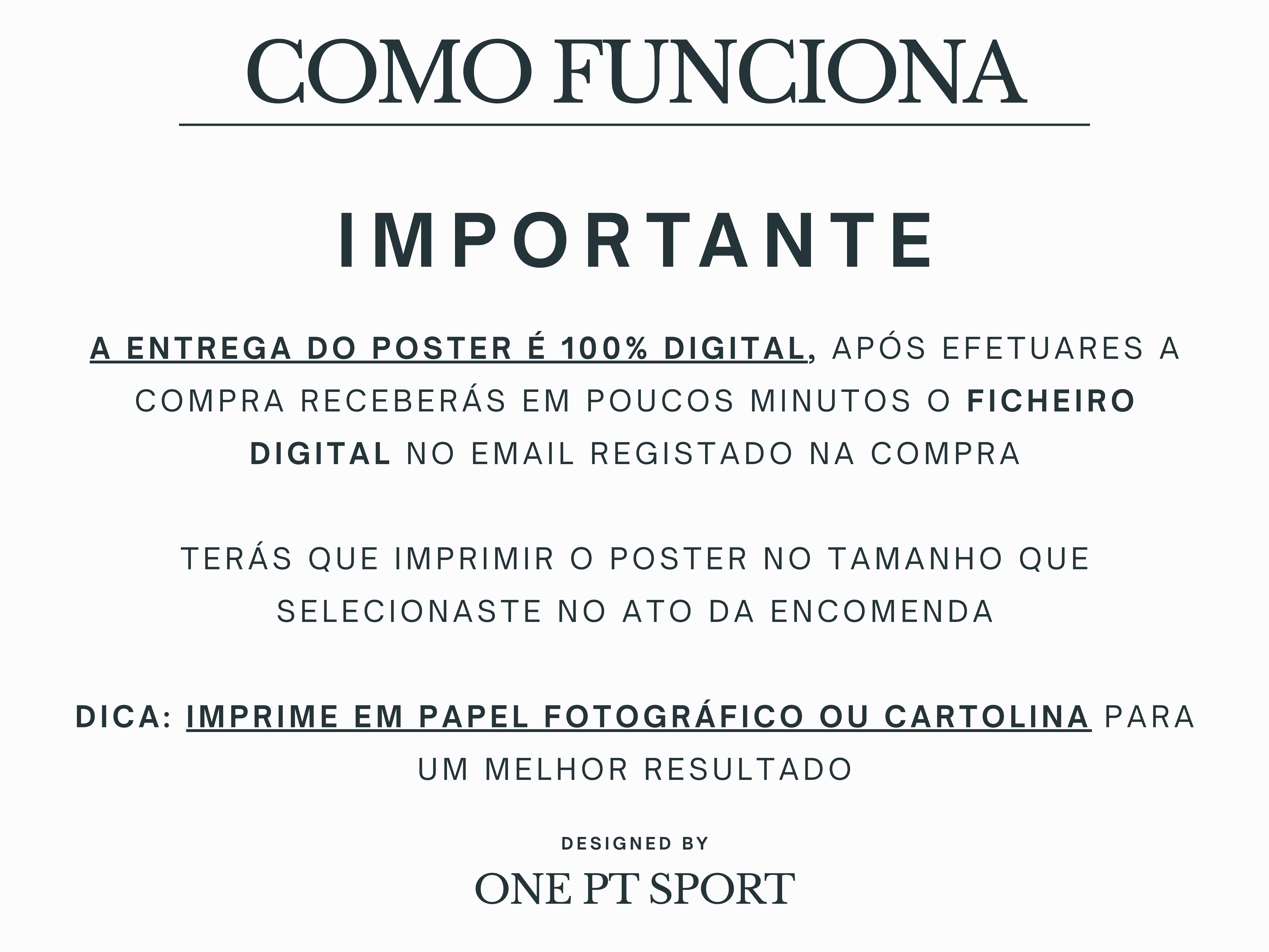 Poster Vítor Baía FC Porto - Stats & Trophies 9