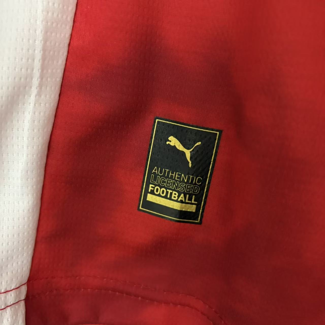 Camisola principal SC Braga 25/26  - Versão adepto 10