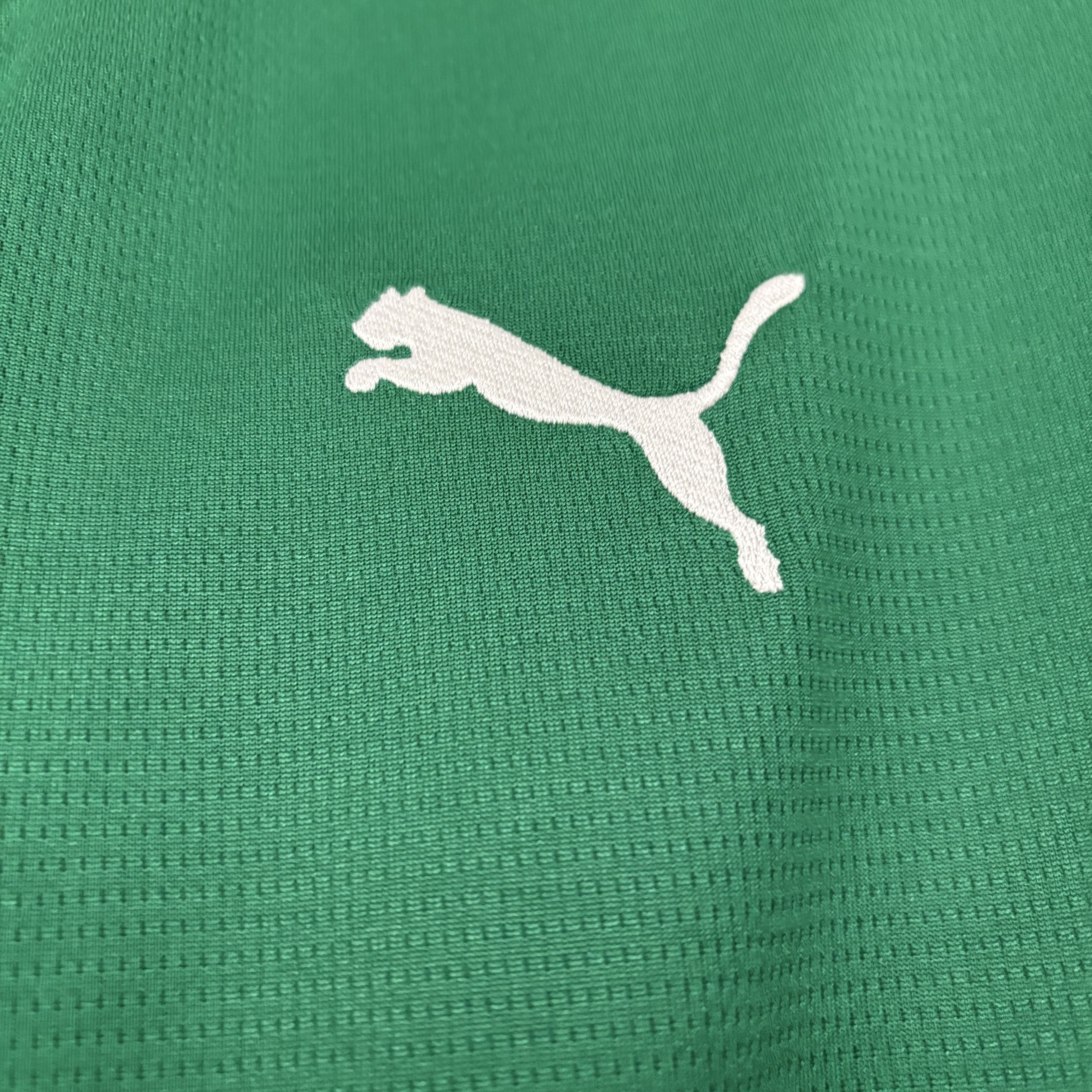 Camisola Principal Palmeiras 2026/2027 - Versão adepto 4