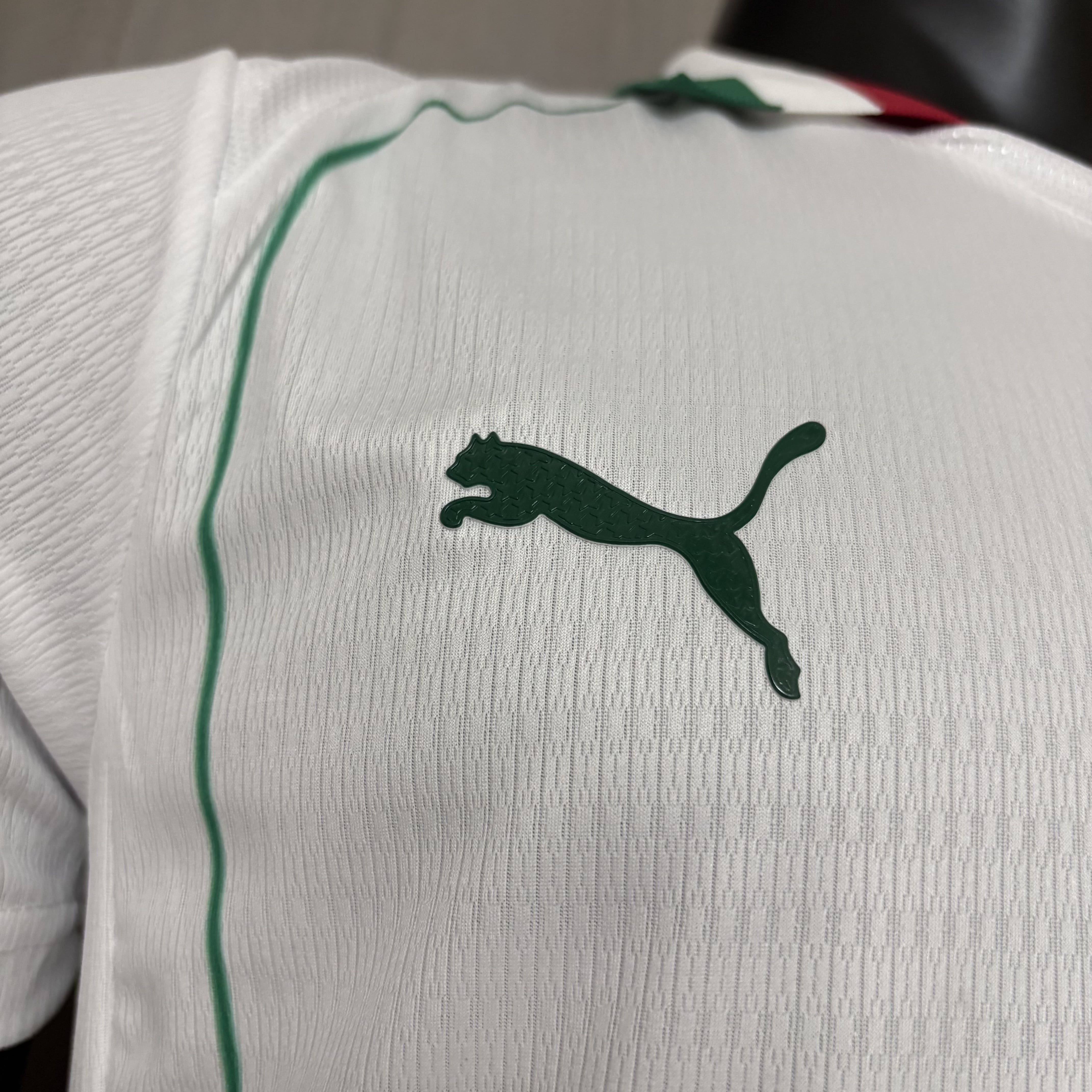 Camisola alternativa Palmeiras 2026/2027 - Versão jogador 4
