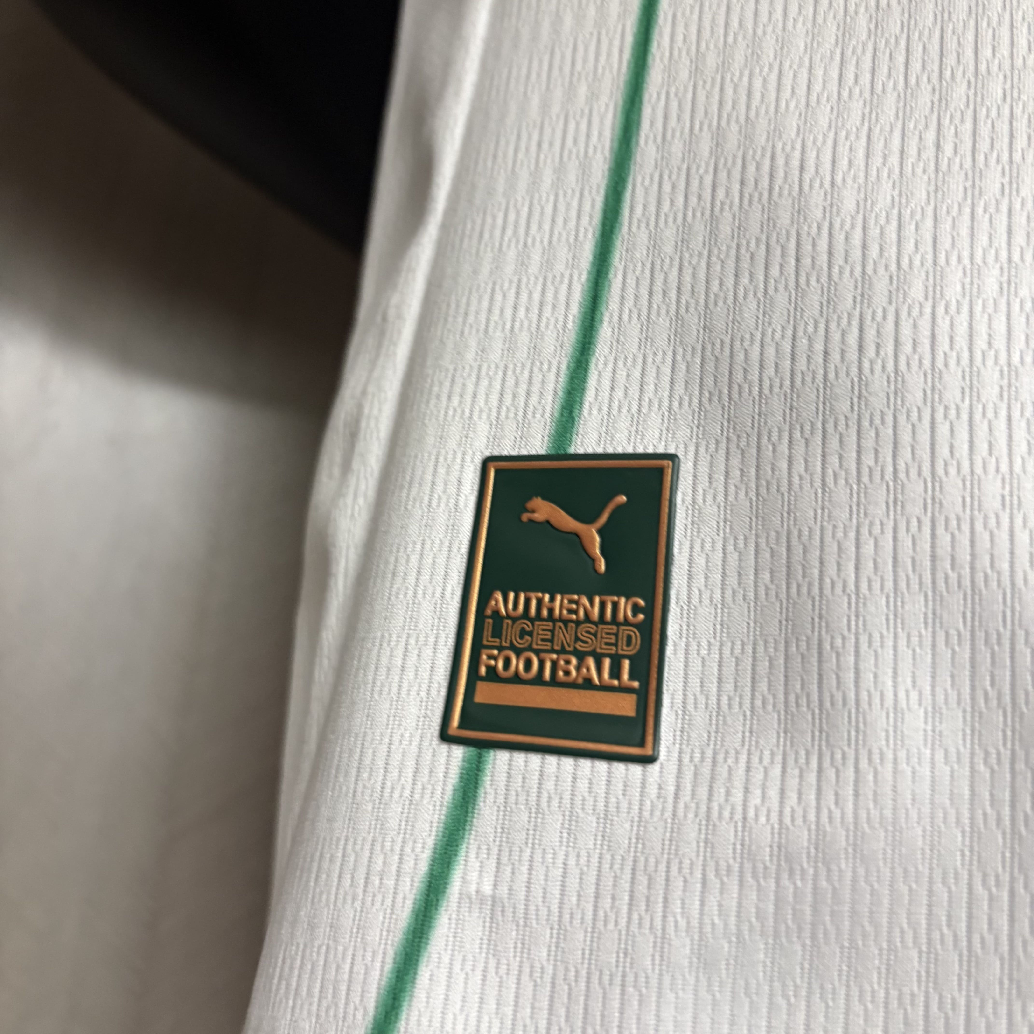 Camisola alternativa Palmeiras 2026/2027 - Versão jogador 8