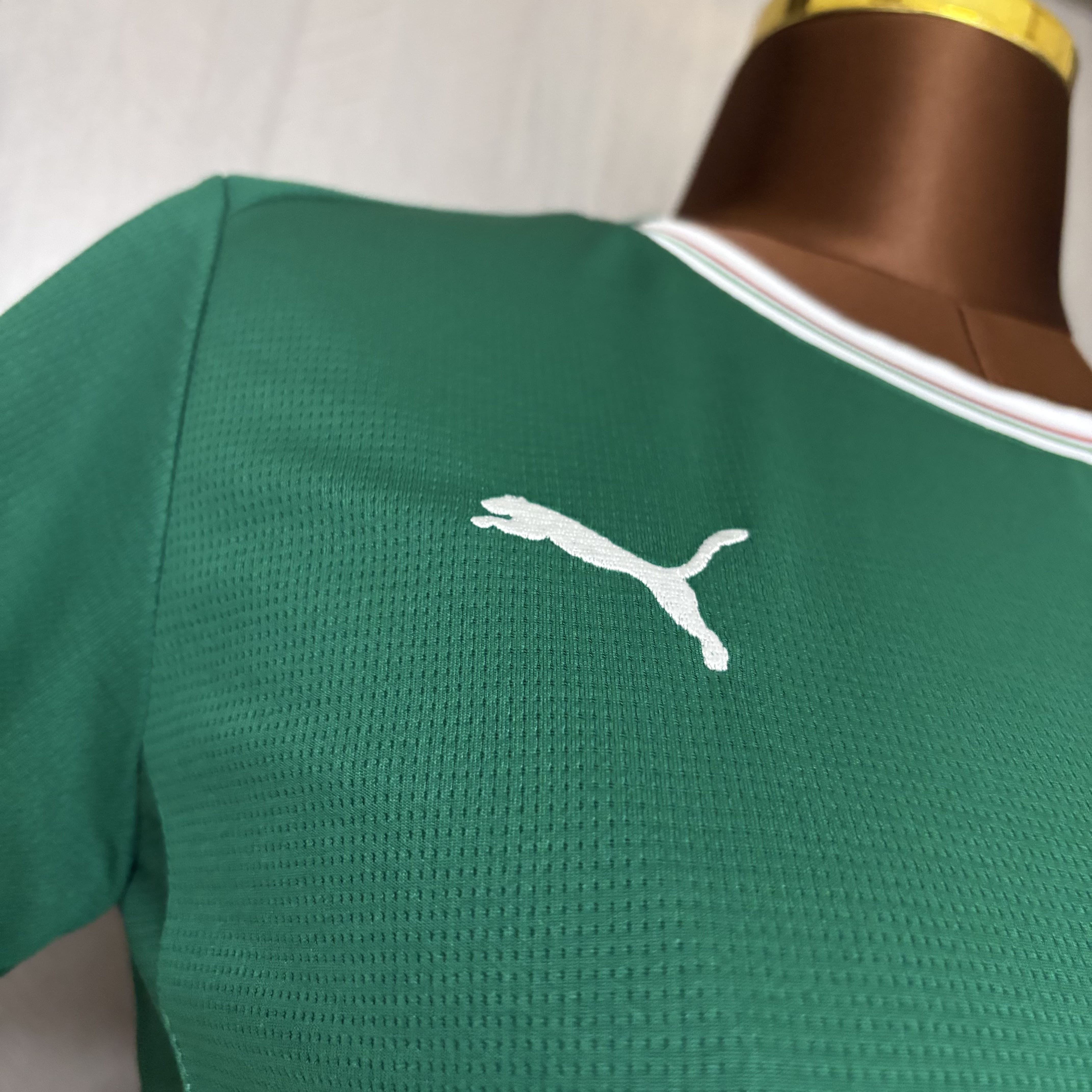 Camisola Principal Palmeiras 2026/2027 - Versão feminina 4