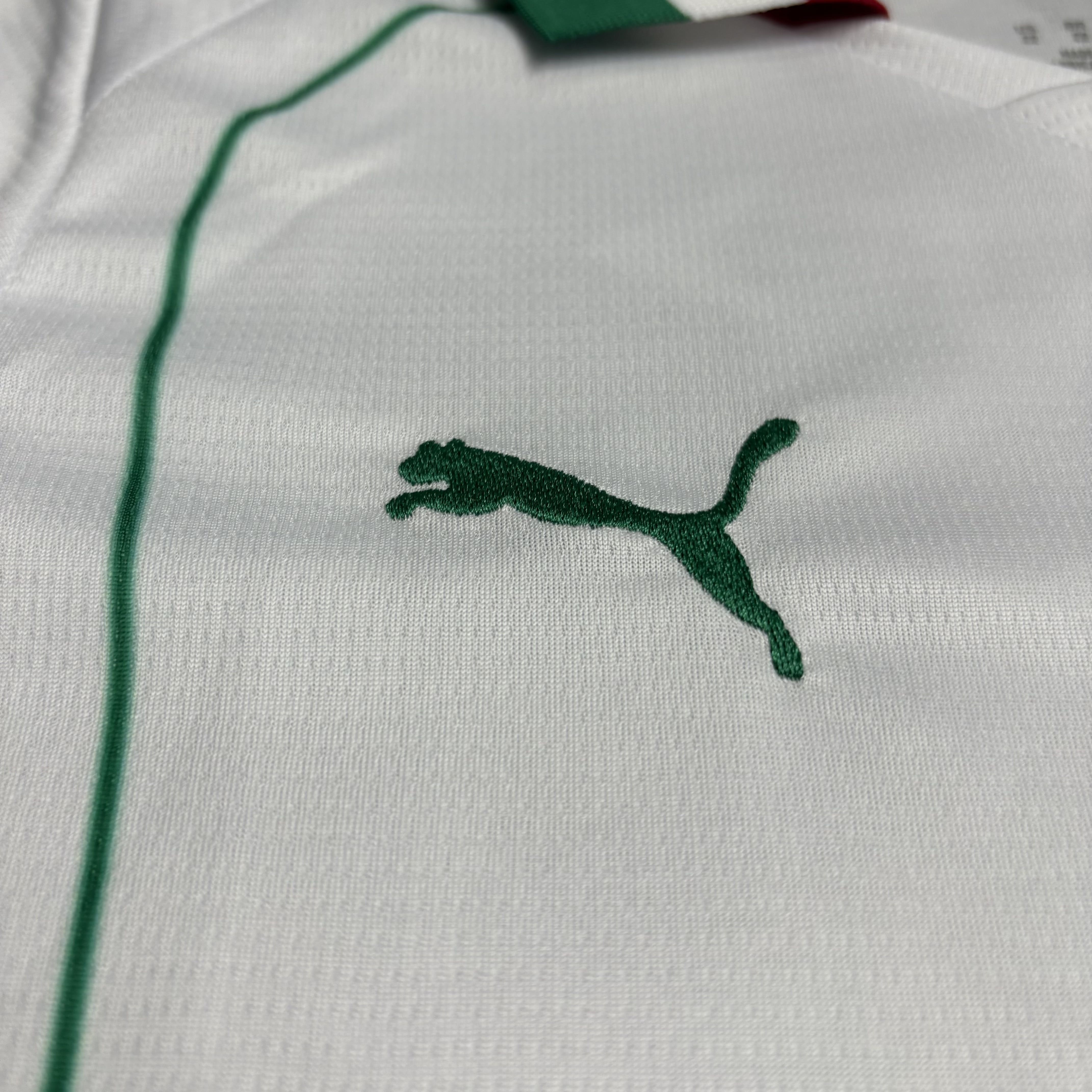 Kit Criança Palmeiras alternativo 26/27 4