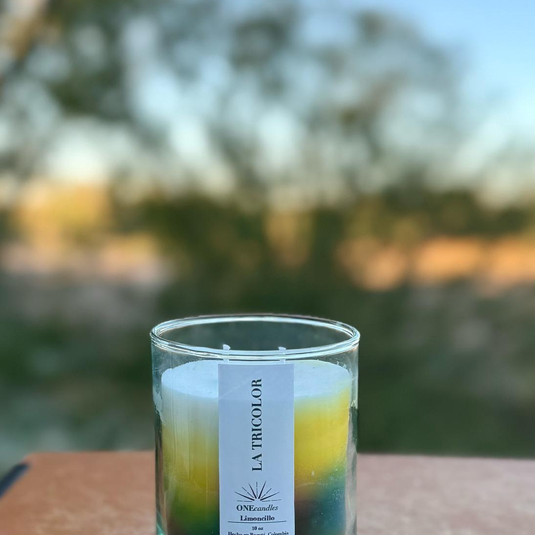 Vela Tricolor - Orgullo en Movimiento 3