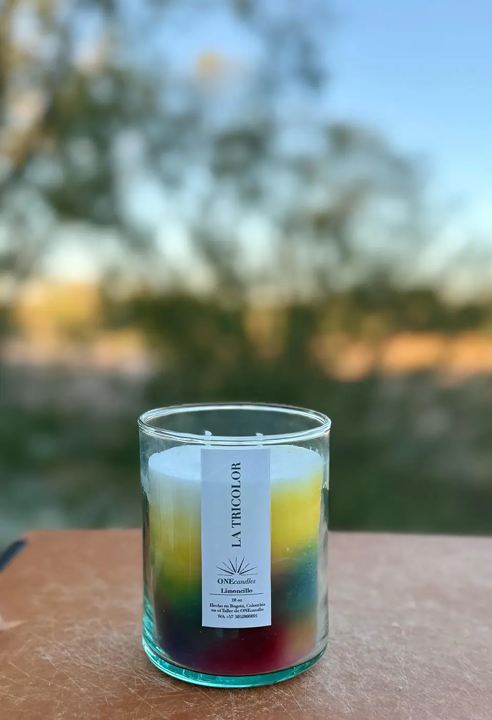 Vela Tricolor - Orgullo en Movimiento 3