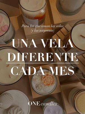 Suscripción Plan Infinito - 12 Meses