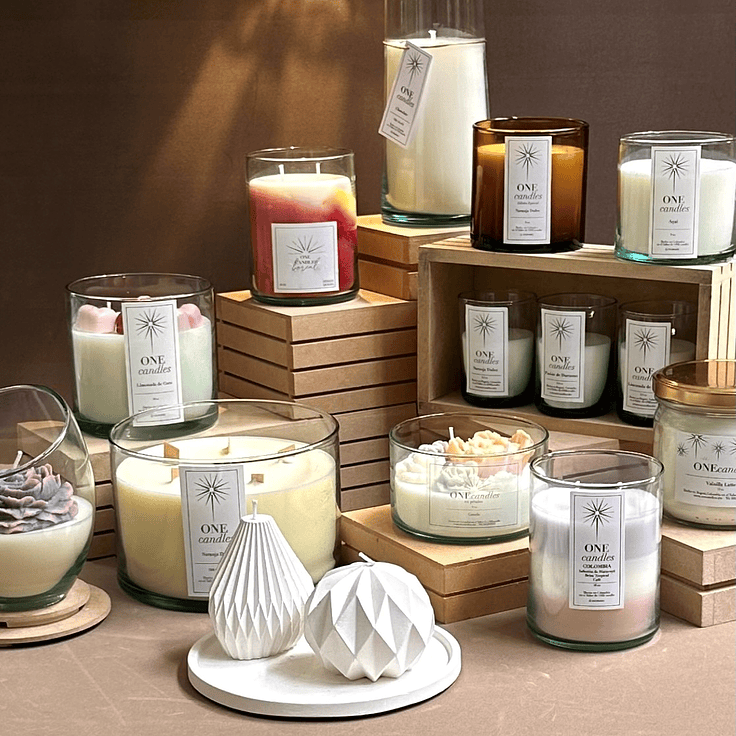 Plan Infinito - 12 Meses